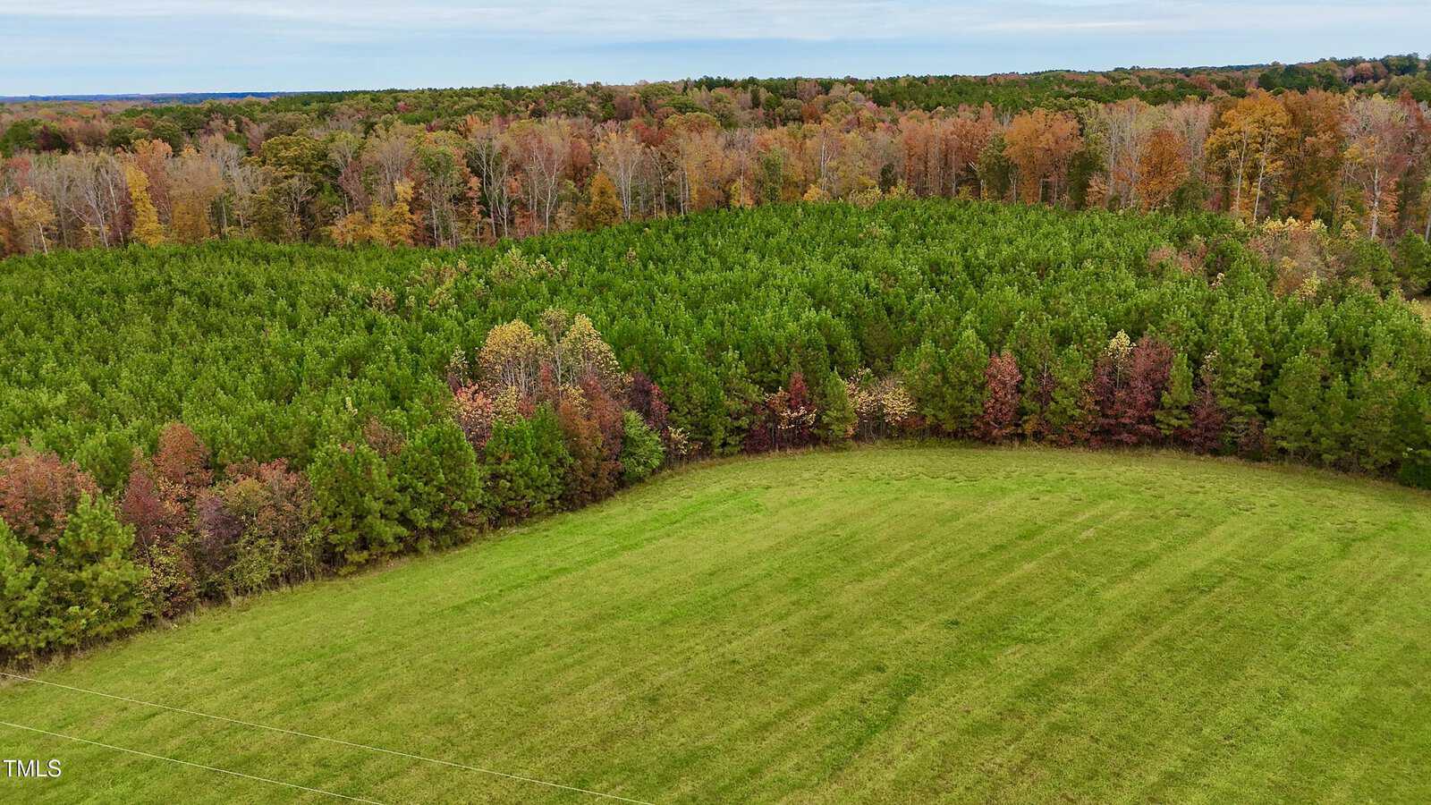 Aerial view of a lush green field bordered by a dense forest displaying a mix of autumn colors. The tree line shows shades of green, orange, and red under a cloudy sky.