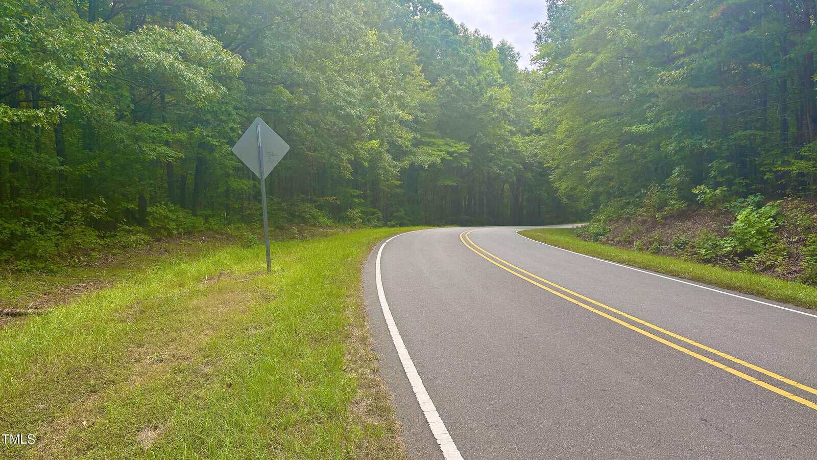A winding road with double yellow lines curves to the right, bordered by lush green trees on both sides. A blank, diamond-shaped road sign stands on the left side of the road. Sunlight filters through the trees, casting dappled shadows.