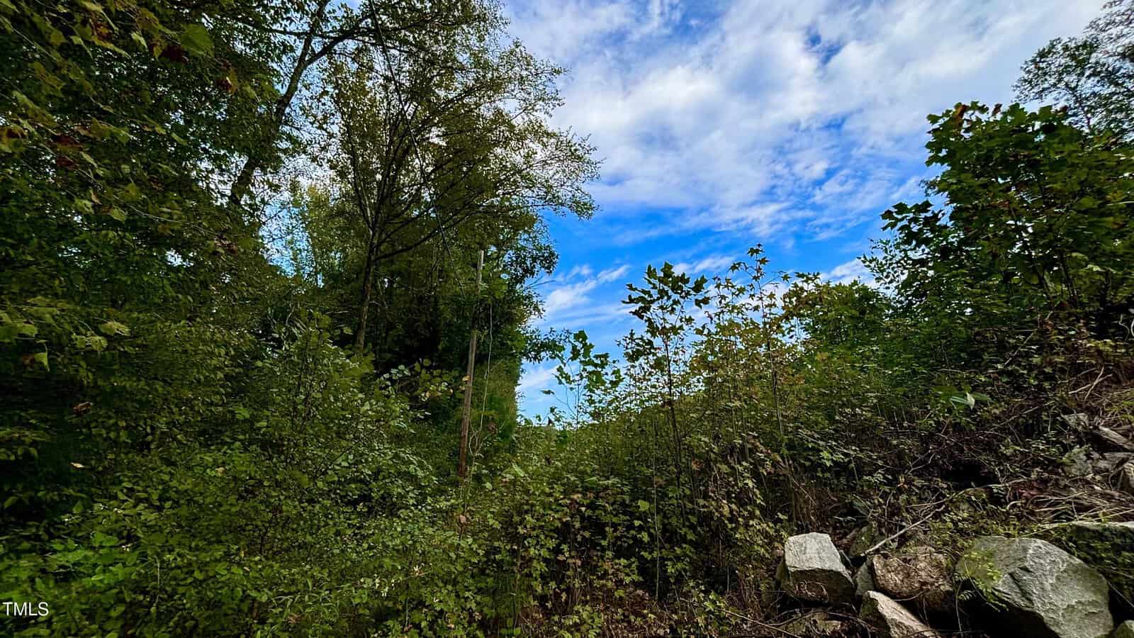 A lush green forest with dense foliage under a vibrant blue sky with scattered clouds. Large rocks are visible on the right, adding texture to the natural setting.