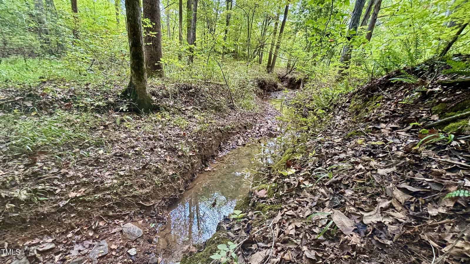 A narrow, tranquil stream flows through a forest with lush, green trees and dense foliage. The ground is covered with fallen leaves, and the water reflects the sky and tree canopy, creating a serene, natural setting.