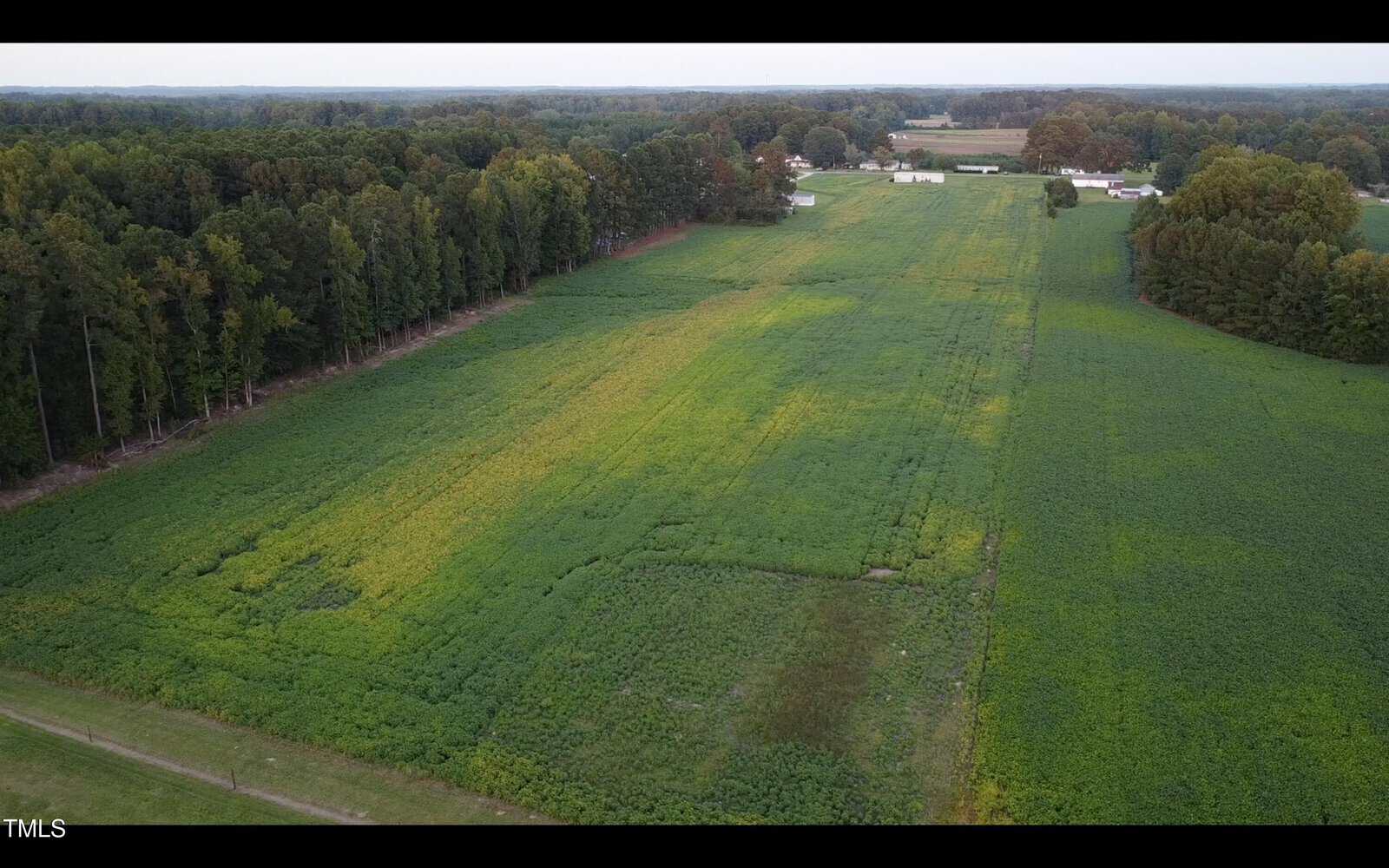Aerial view of a large, green agricultural field bordered by wooded areas and trees, with a few scattered buildings and houses visible in the distance under a cloudy sky.