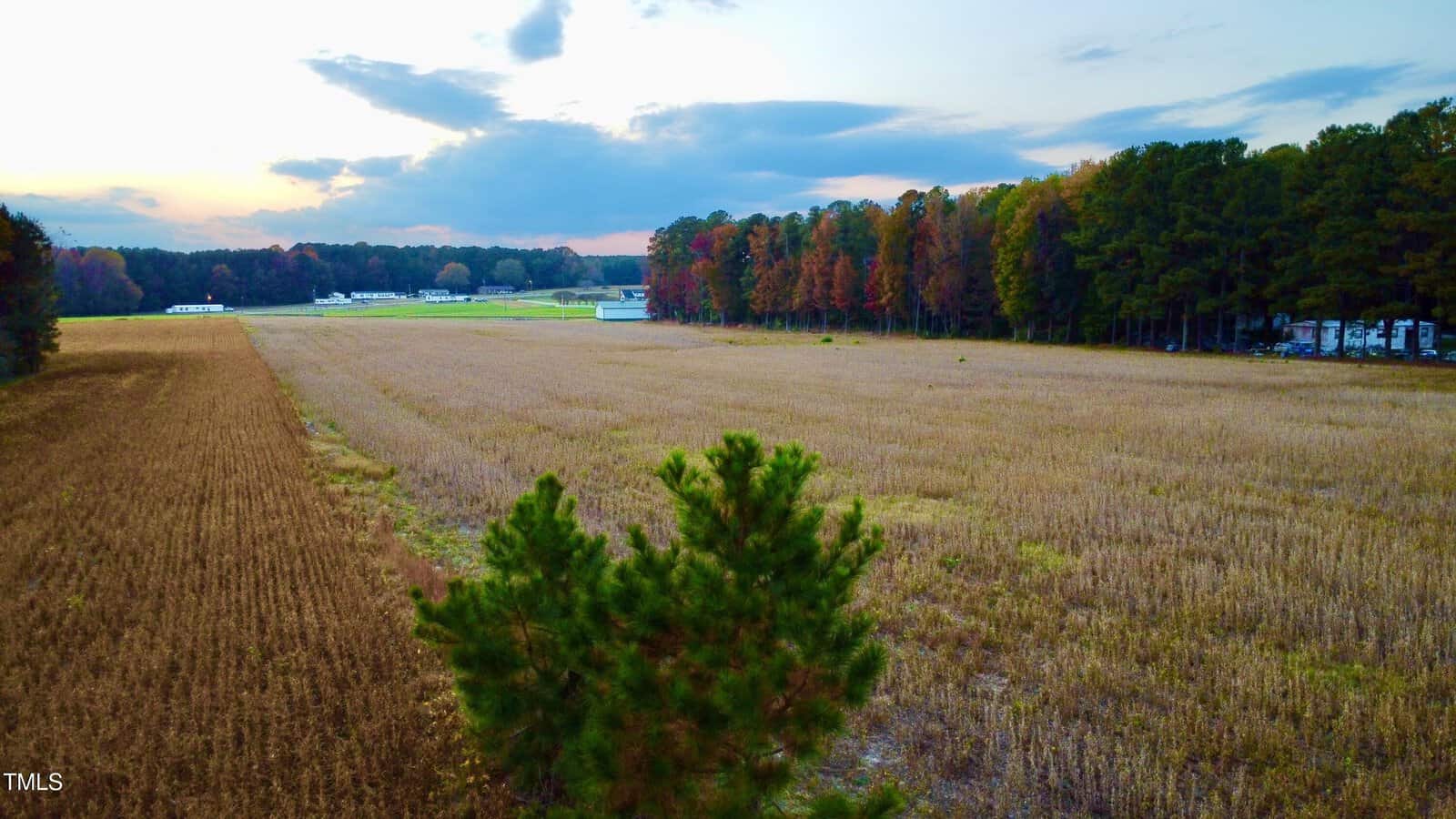 A large open field with dried vegetation, bordered by a line of tall trees with some autumn colors, under a partly cloudy sky at sunset. A few buildings are visible in the distance.
