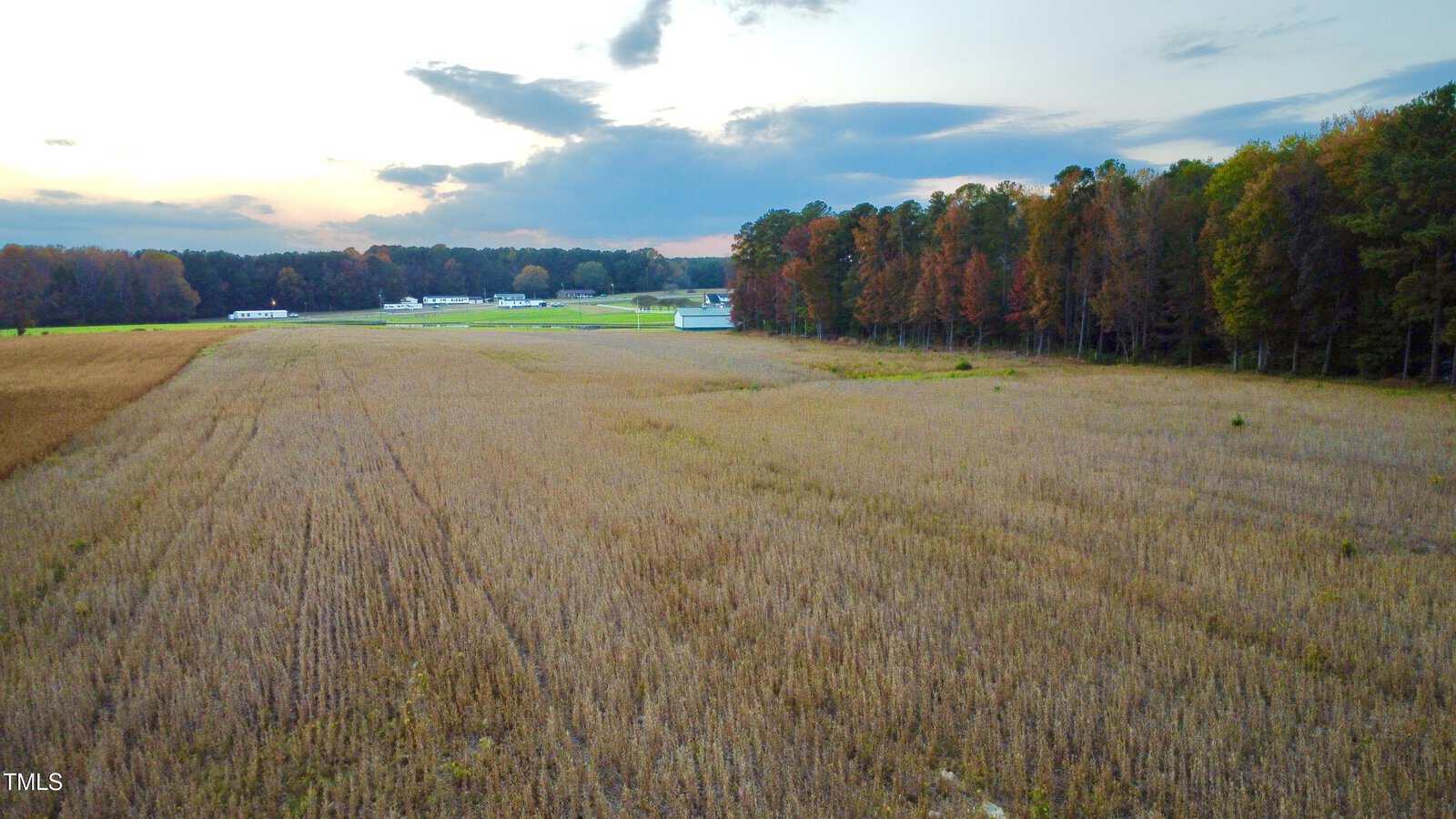 A large open field with dry grass is bordered by a dense line of trees with autumn foliage. Several buildings and a distant treeline are visible under a partly cloudy sky at sunset.