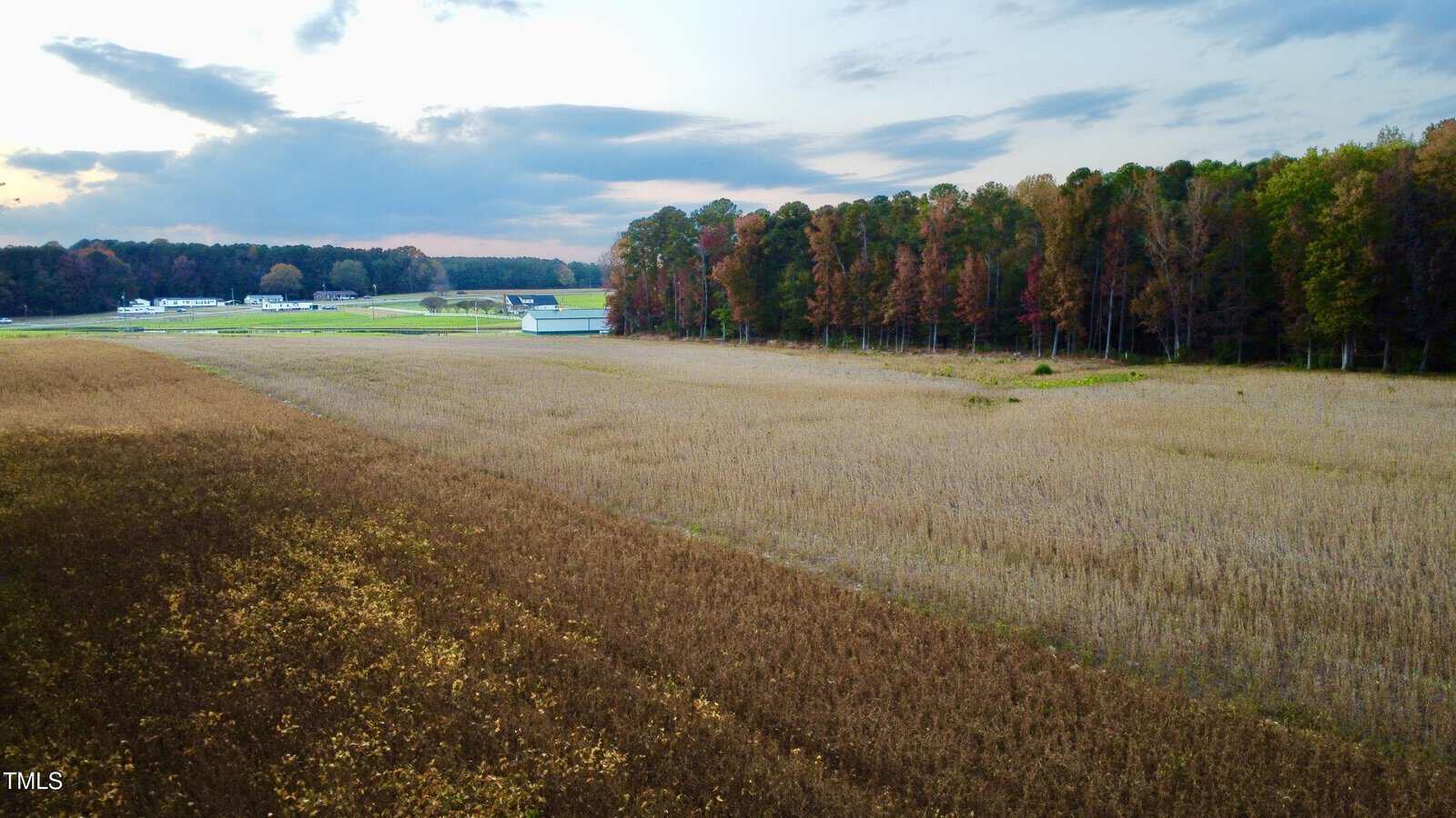 An aerial view of a large field with crops, bordered by a forest of trees showing early autumn colors. In the background, there are a few buildings and a partly cloudy sky at dusk.