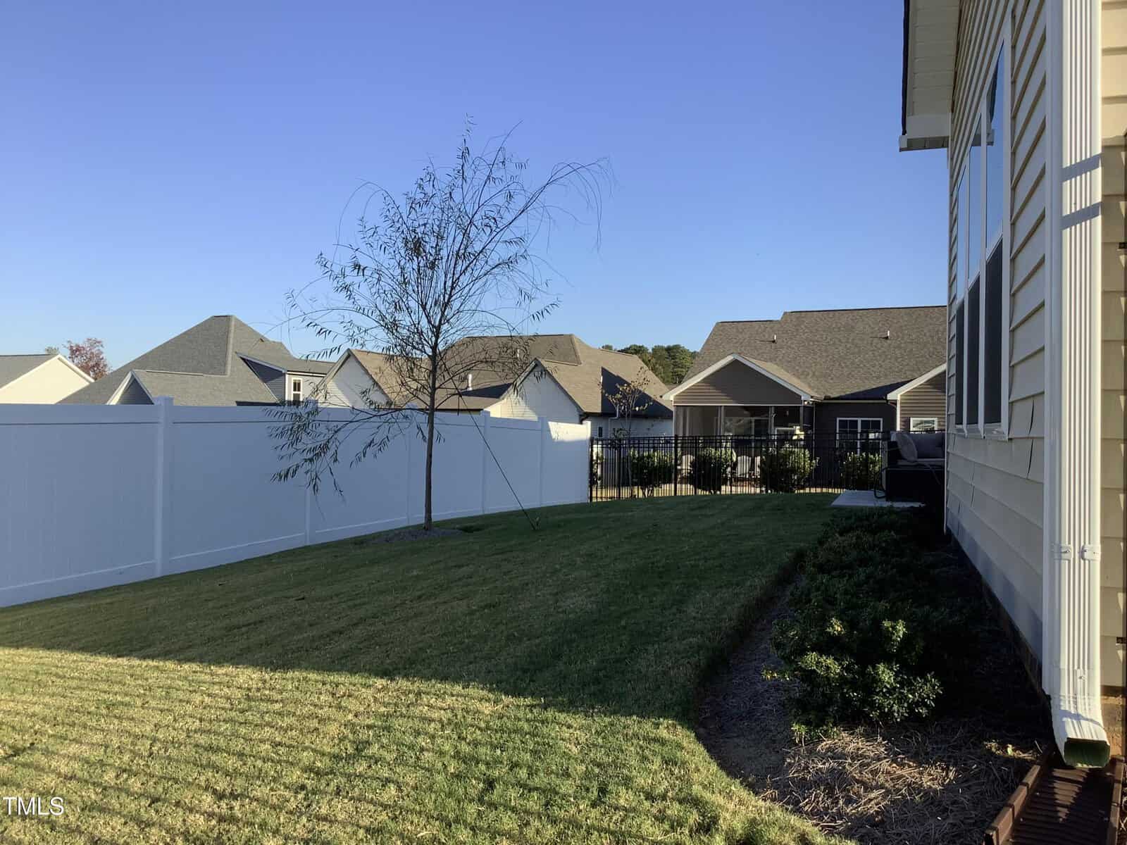A backyard with a well-kept lawn, a young tree, white vinyl privacy fence, and a beige house on the right. Neighboring houses with gray roofs are visible in the background under a clear blue sky.