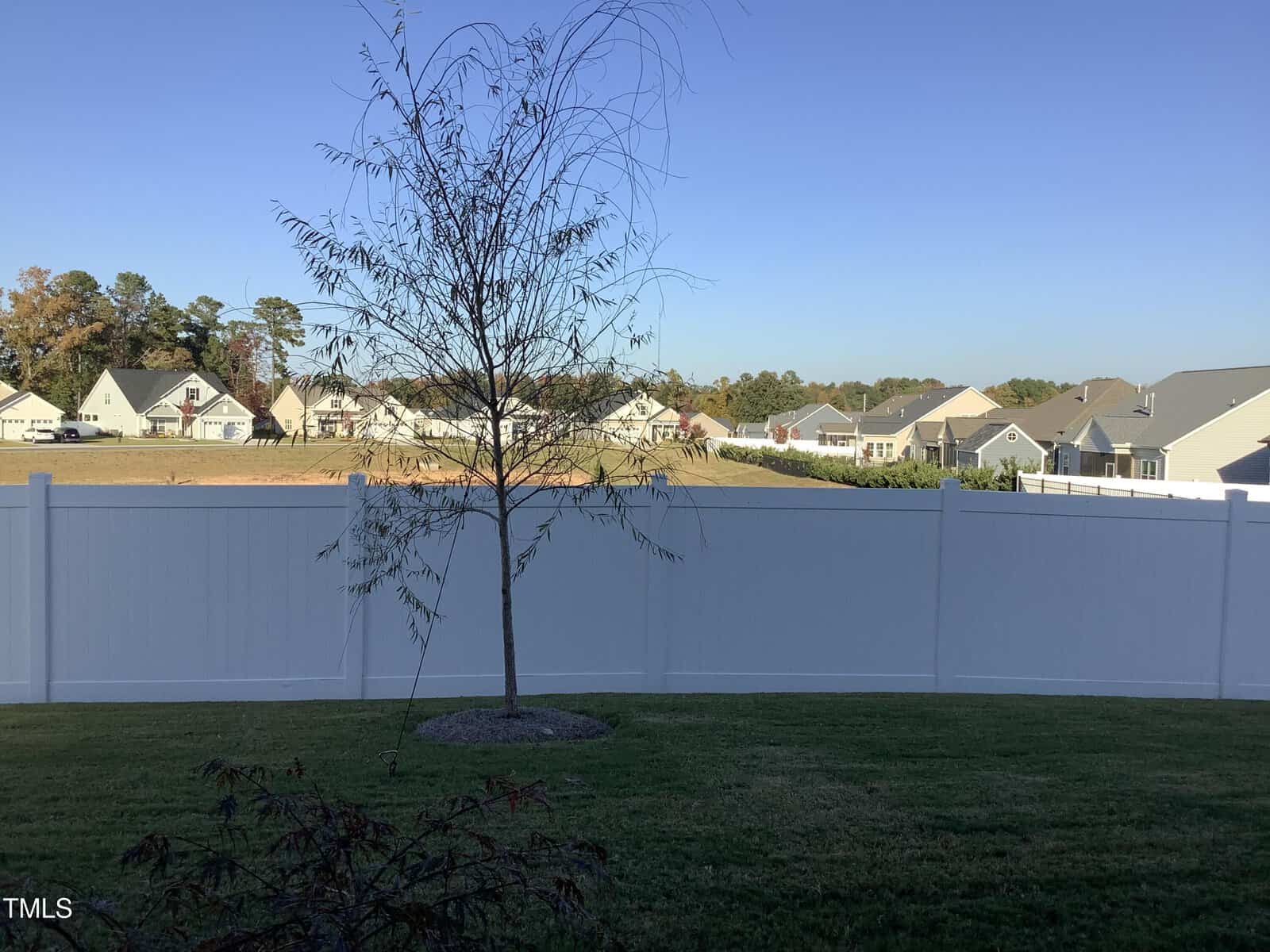 A small tree stands in a grassy backyard, surrounded by a white vinyl privacy fence. Several single-story houses and trees are visible in the background under a clear blue sky.