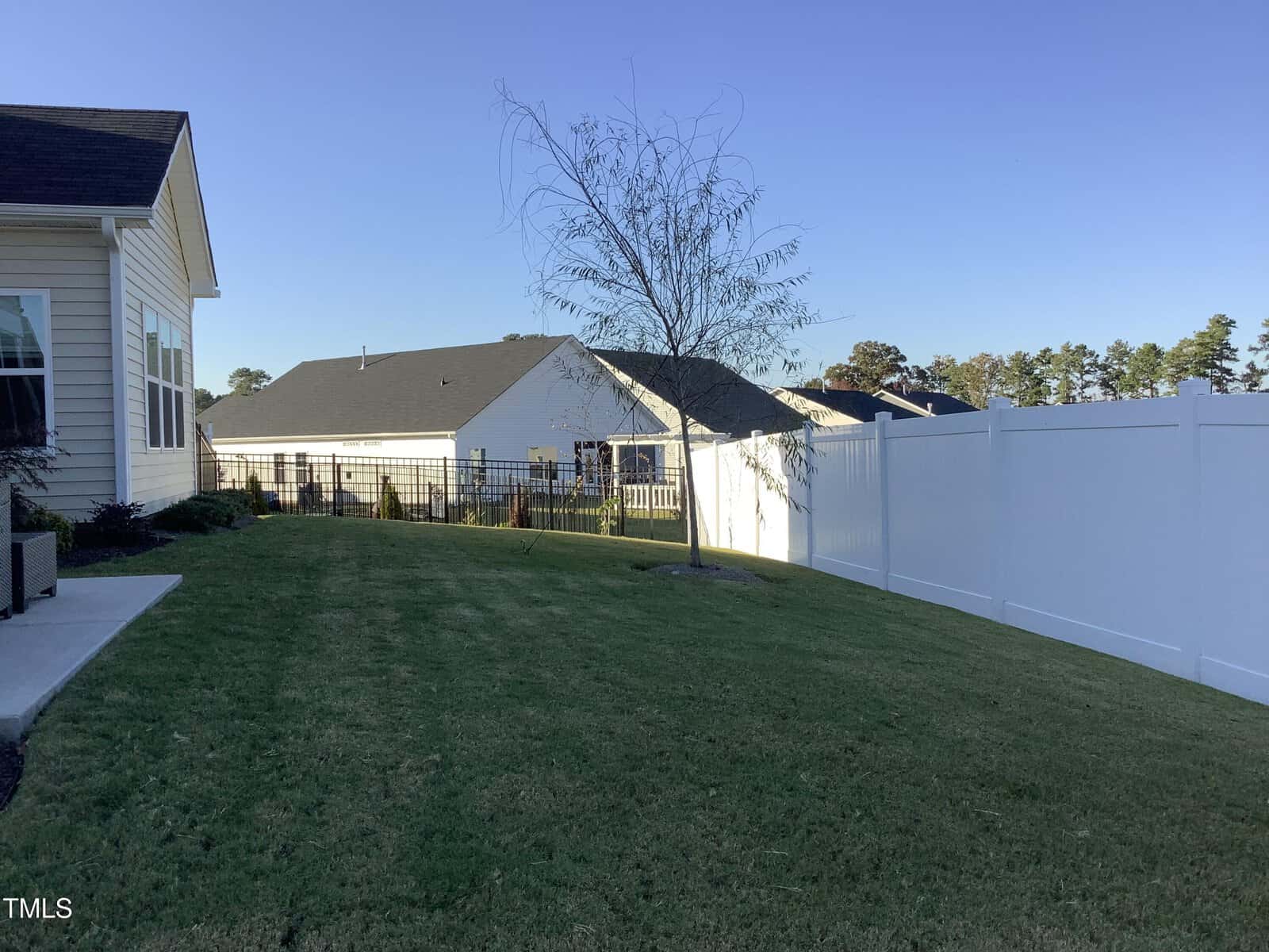 A neatly mowed backyard with a single young tree, bordered by a white vinyl fence on the right and a house on the left. Another house and trees are visible in the background under a clear blue sky.