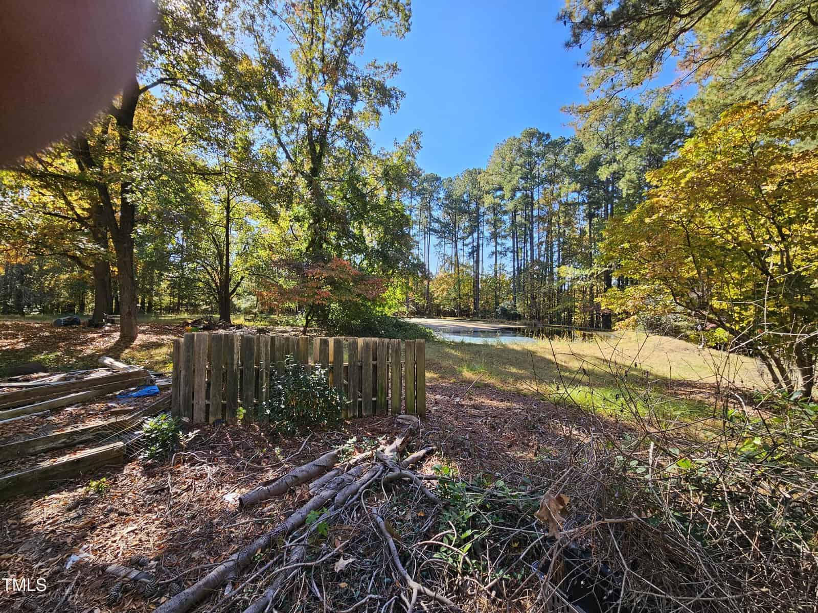 View of a serene park with tall trees and a small fenced area. The foreground shows branches and grass under a clear blue sky, while the background features a sunlit pond surrounded by greenery.