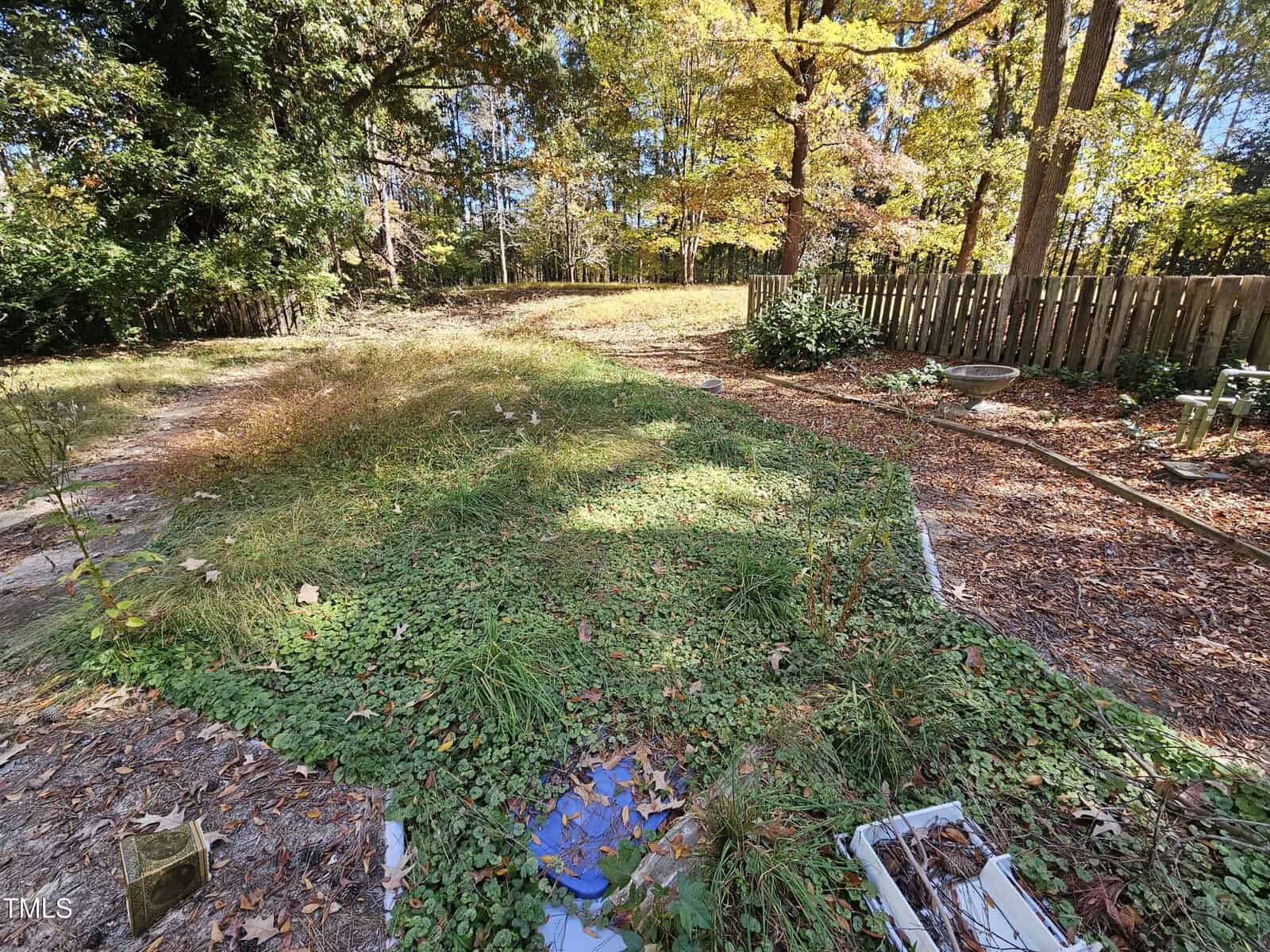 A backyard with overgrown grass and various plants. Trees with yellow and green leaves are in the background, and a wooden fence borders the area. Sunlight filters through the trees, illuminating the scene. A small path is partially visible.
