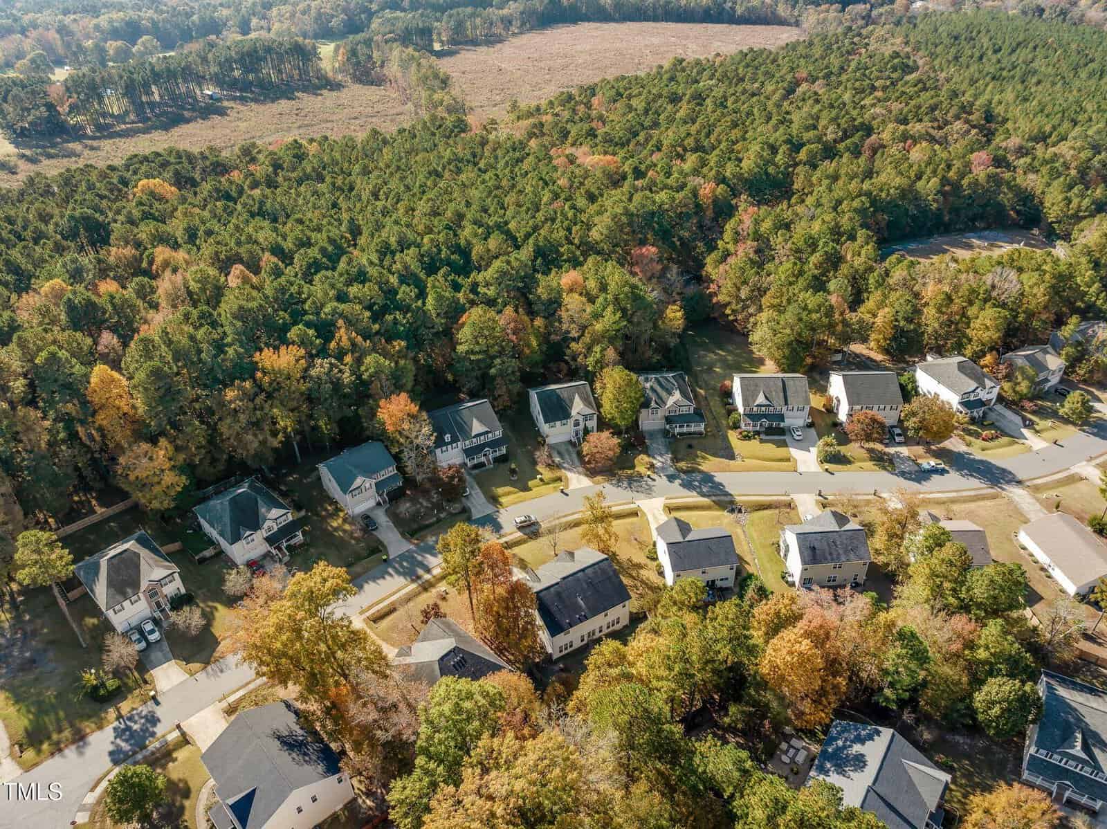 Aerial view of a suburban neighborhood with rows of houses surrounded by dense green trees. The houses are arranged along curving streets, and the area is bordered by a large expanse of forest. The scene reflects a tranquil and orderly community.