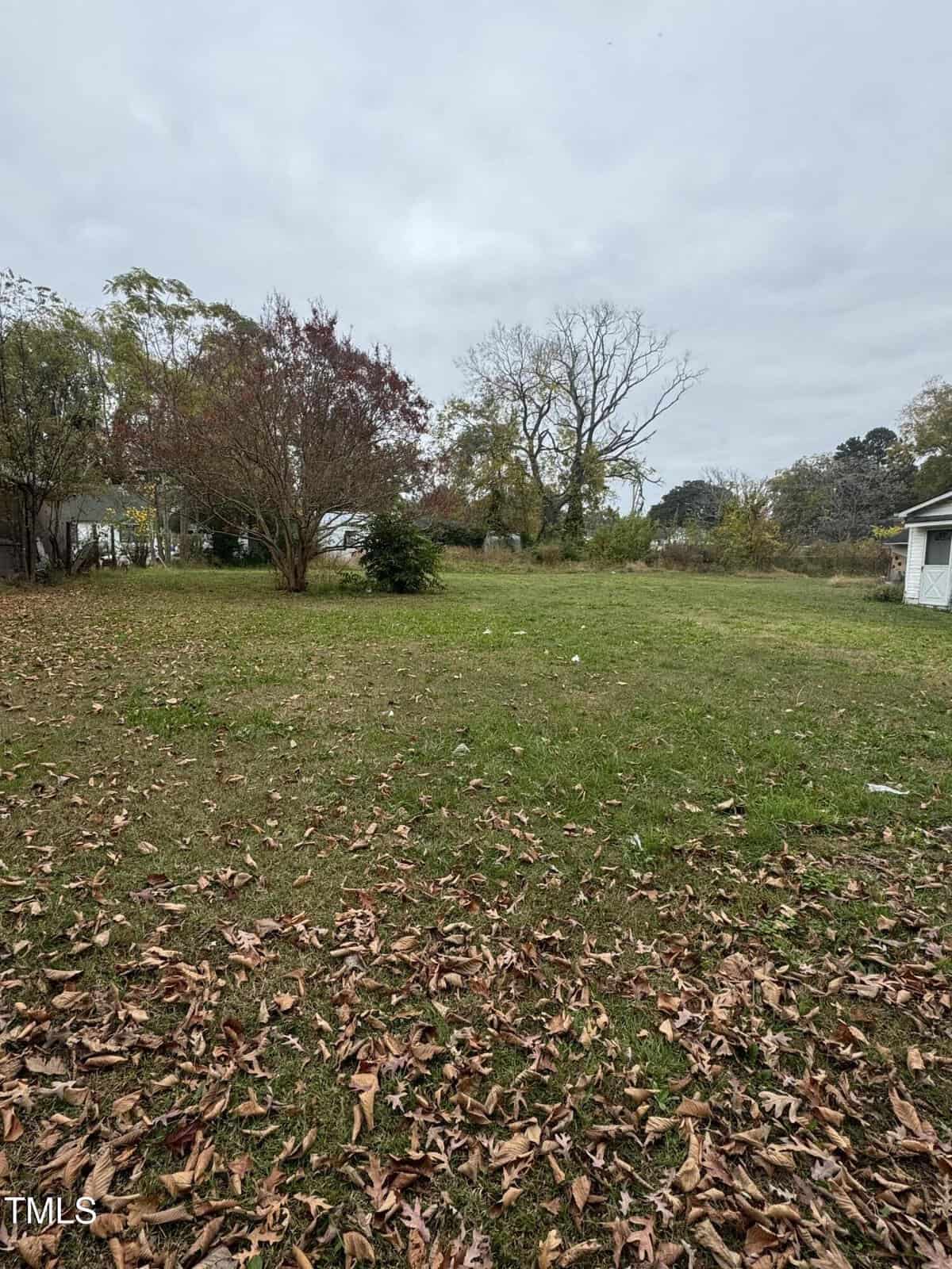 A grassy backyard at 332 Hamilton Street is adorned with scattered fallen leaves, surrounded by trees showing off their autumn foliage. The sky remains overcast above Henderson, and a small white building is visible on the right side of the image.