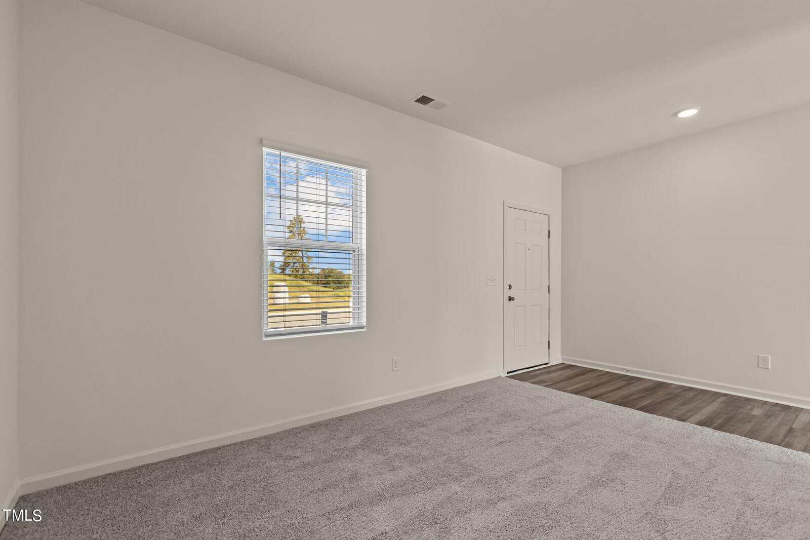 A bright, empty room with light gray carpet, white walls, a window with blinds showing trees outside, and a white door with wood-look flooring near the entrance.