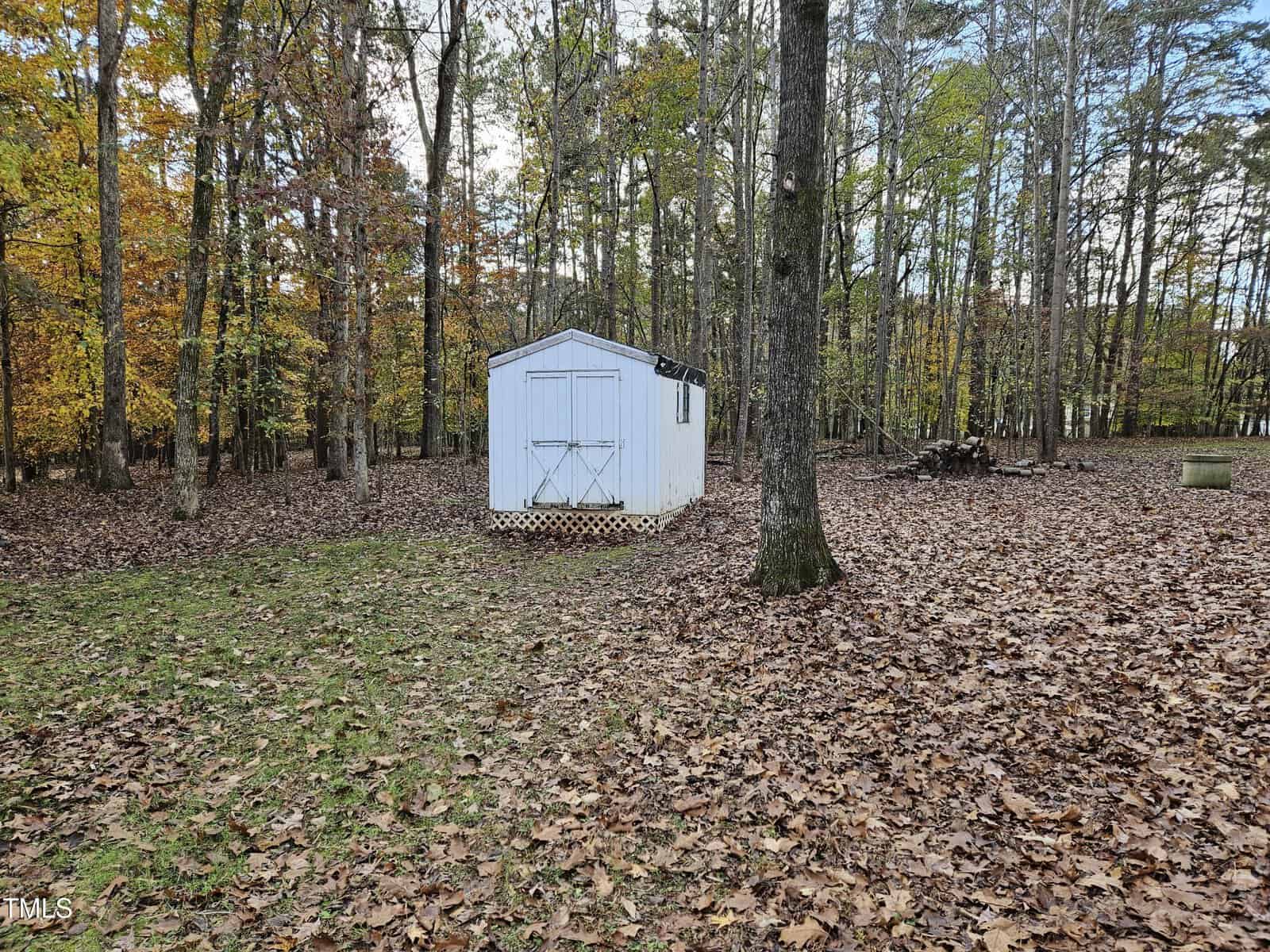 A small white shed stands in a wooded area surrounded by trees. The ground is covered with fallen leaves, and a patch of green grass is visible in the foreground. A stack of firewood is positioned near the shed.