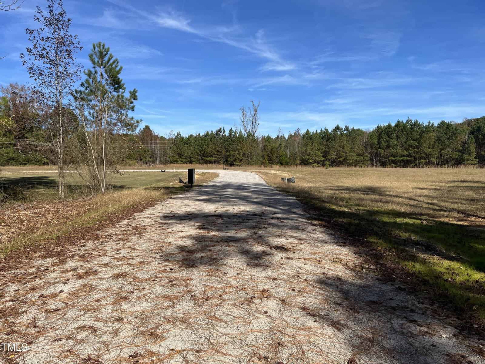 A gravel road leads through a grassy field bordered by trees under a blue sky with wispy clouds. Shadows from nearby trees cover part of the road and field.