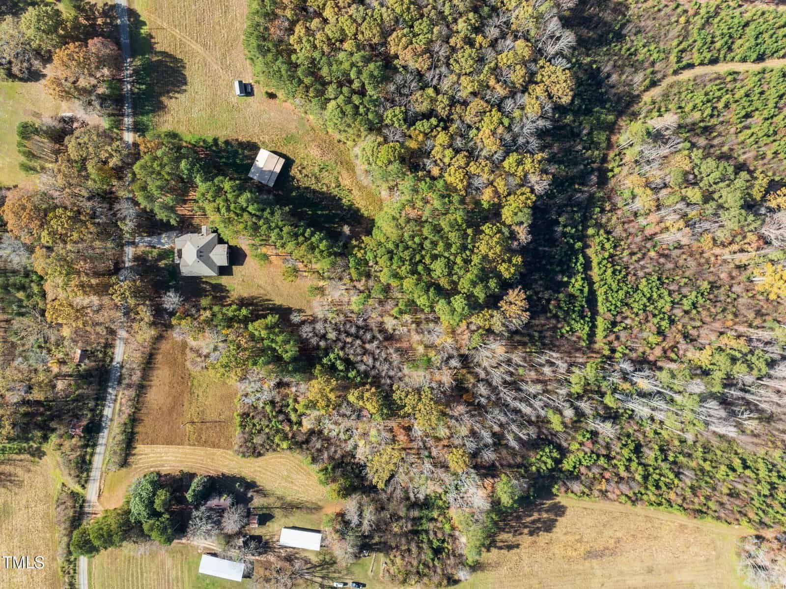 Aerial view of a rural landscape featuring a house surrounded by dense trees. Several smaller structures are scattered nearby. Patches of cleared land are visible, with fields and dirt paths intersecting the scene.