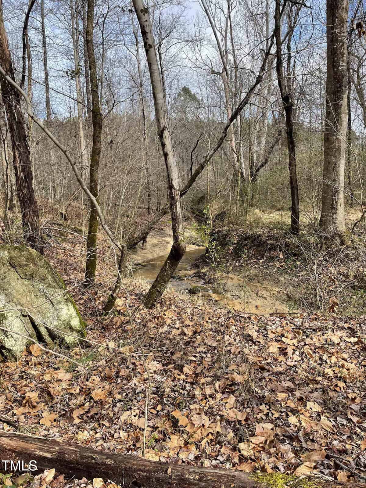 A small stream flows through a forest with bare trees and a covering of dry, fallen leaves. The scene is calm, with a rocky foreground and a glimpse of the distant horizon under a partly cloudy sky.