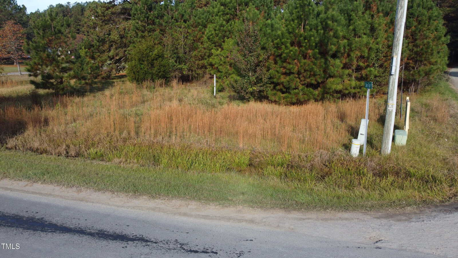 An empty plot of grassy land is adjacent to a paved road. Pine trees border the area, and there are two utility poles with boxes nearby. The scene is under a clear sky with no visible structures.
