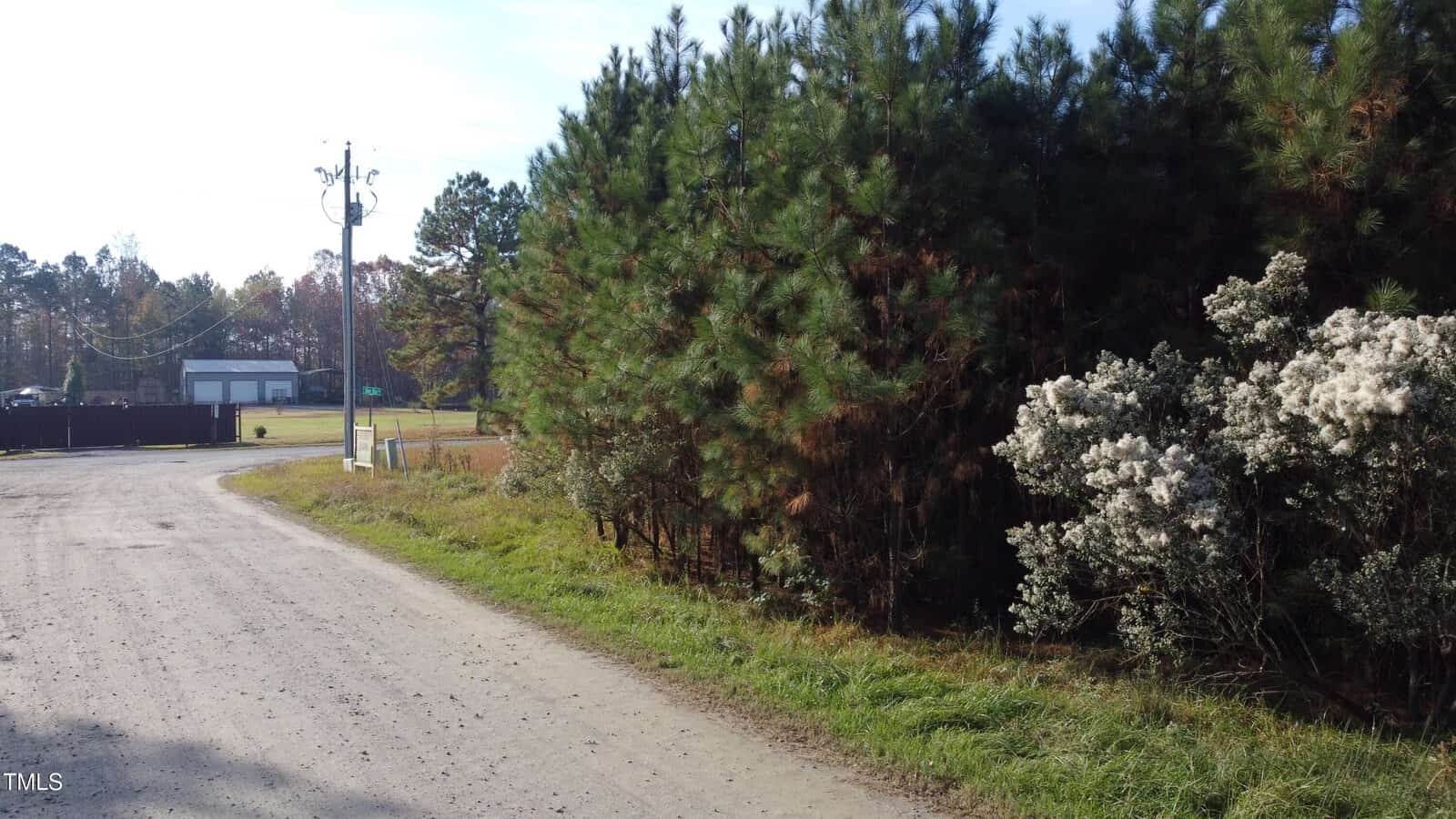 A rural dirt road curves to the left, bordered by tall pine trees and shrubs with white flowers. Utility poles with wires run alongside the road. A small building and fenced area are visible in the background under a clear blue sky.