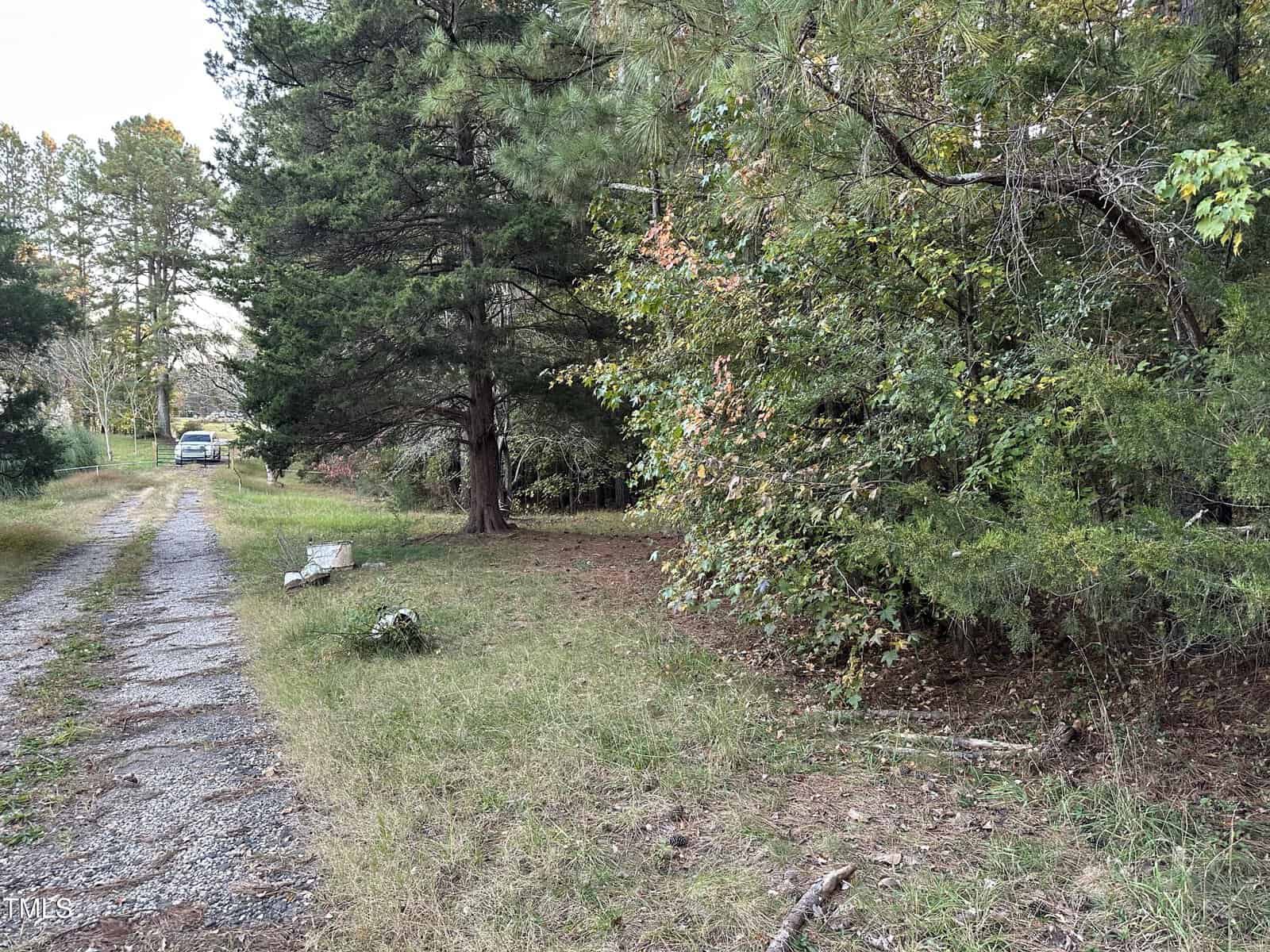 A rural scene featuring a dirt and gravel path running alongside dense trees and bushes. A truck is parked in the distance on the left side of the path. The area is grassy with scattered leaves and branches. The sky is overcast, casting soft lighting.