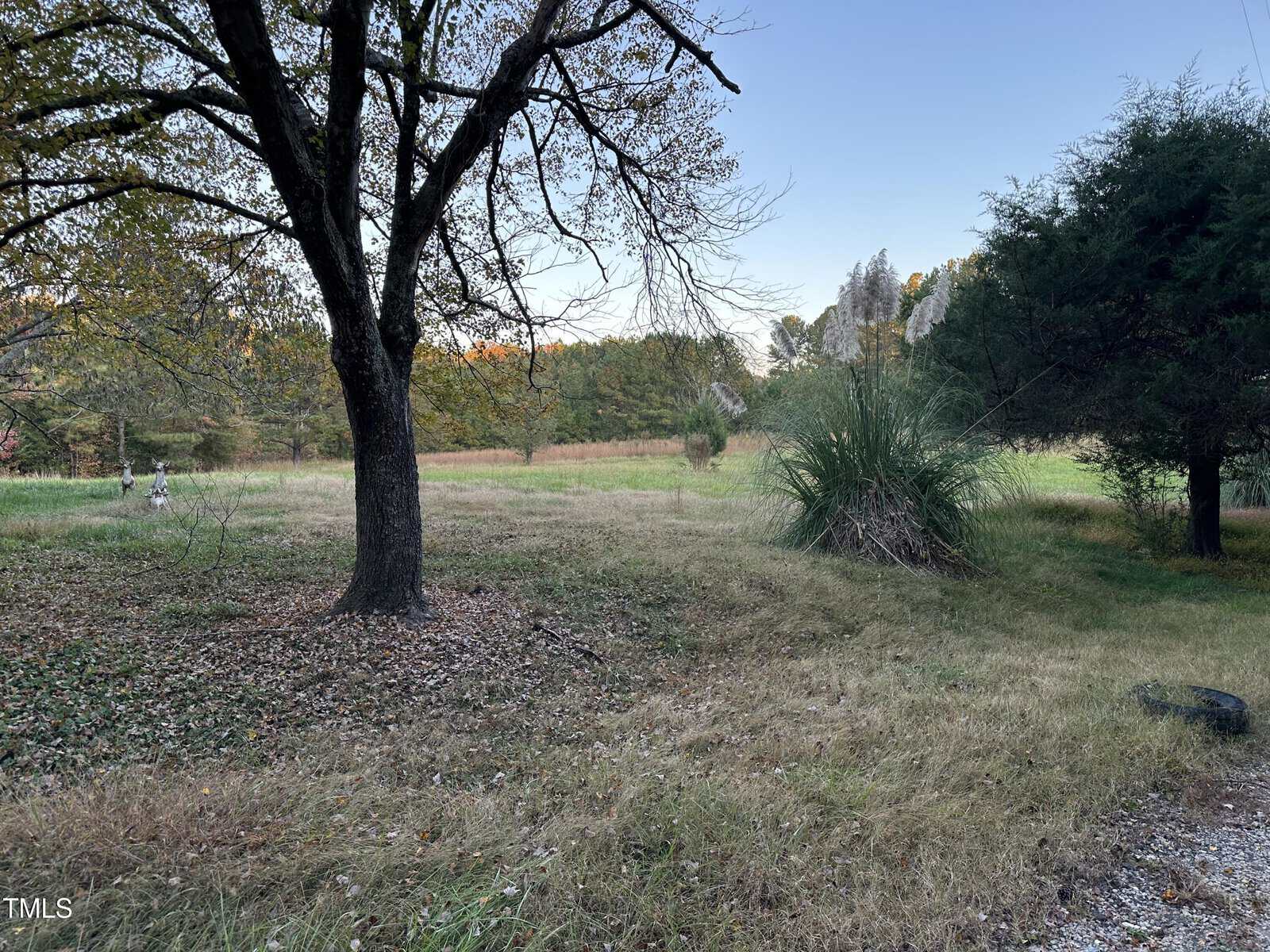 A grassy field with scattered trees on a clear day. One large tree is prominent in the foreground, and shrubs are spread throughout the area. The sky is blue with no visible clouds.