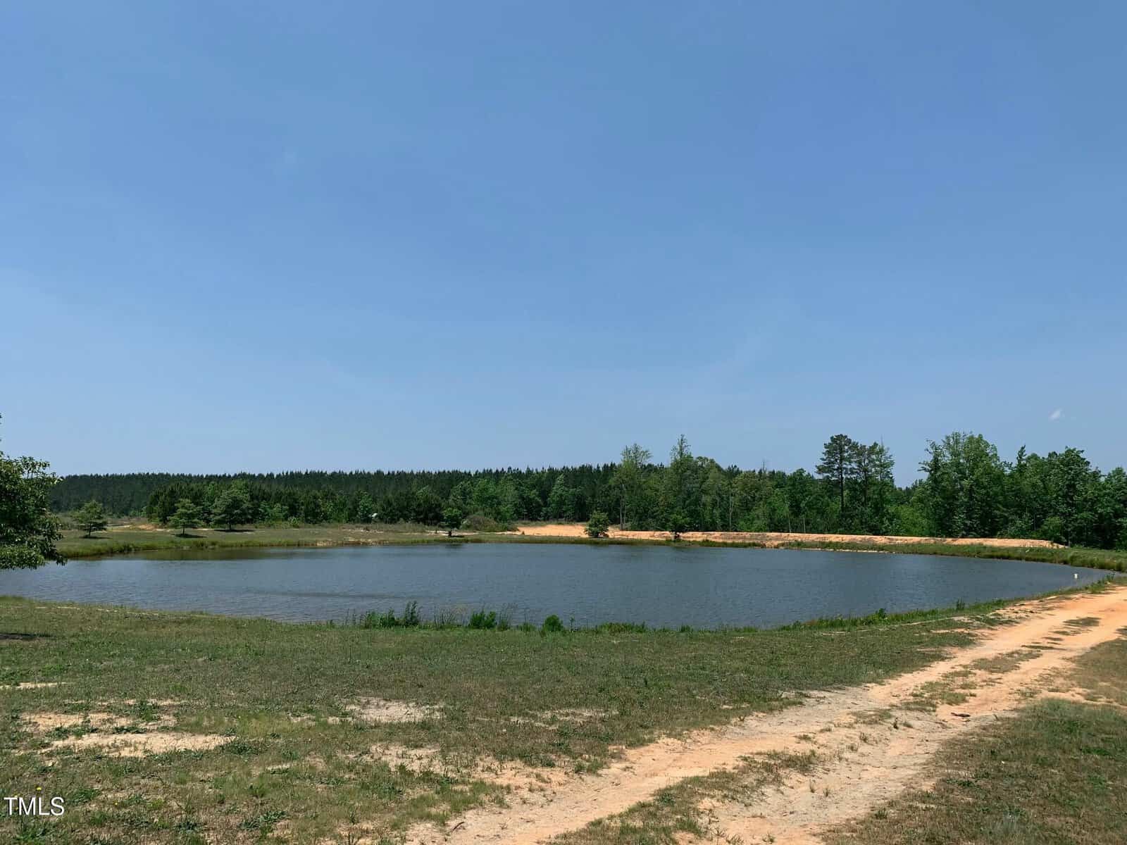 A serene pond is surrounded by grass and a few trees under a clear blue sky. A dirt path leads to the water's edge, with a forested area in the background.