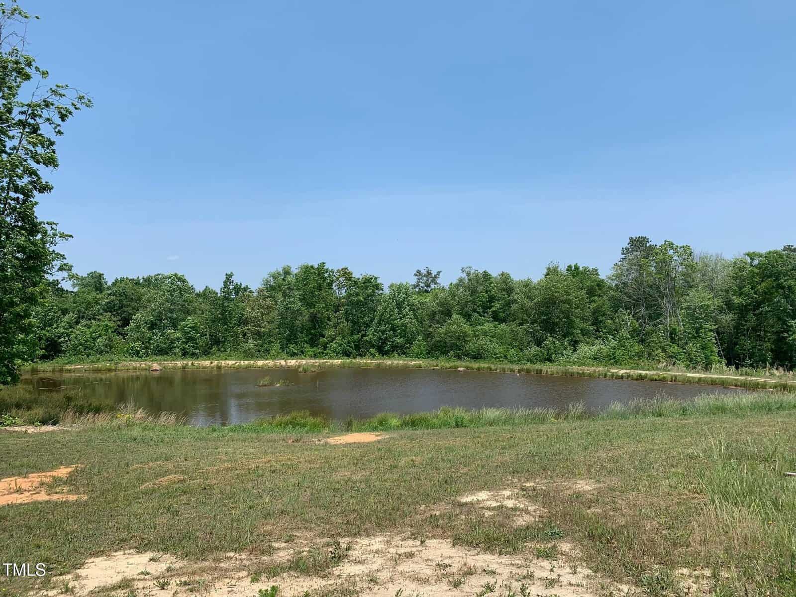 A small pond surrounded by lush green trees under a clear blue sky. Bare patches of dirt and grass in the foreground lead to the water, creating a serene, natural landscape.