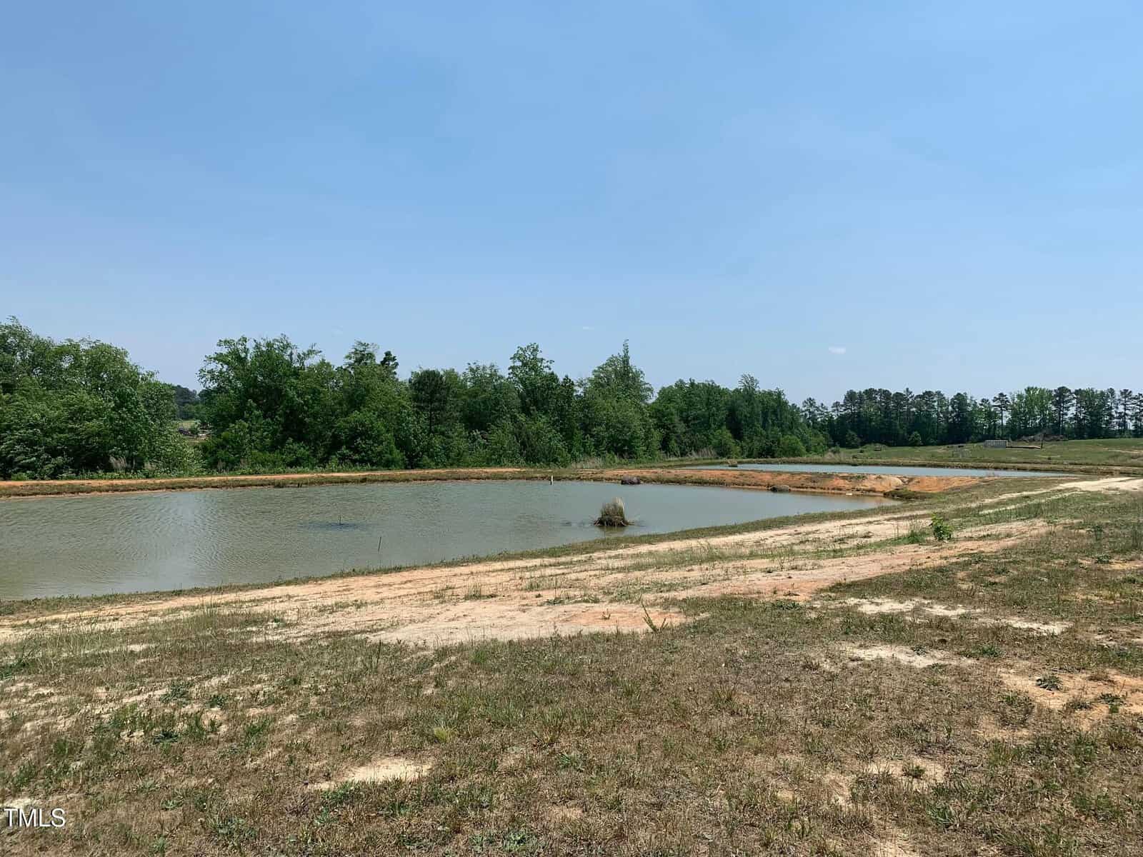 View of a serene landscape featuring a small pond surrounded by rough grass and sparse vegetation. The sky is clear and blue, suggesting a sunny day. Trees line the background, adding a touch of greenery to the scene.