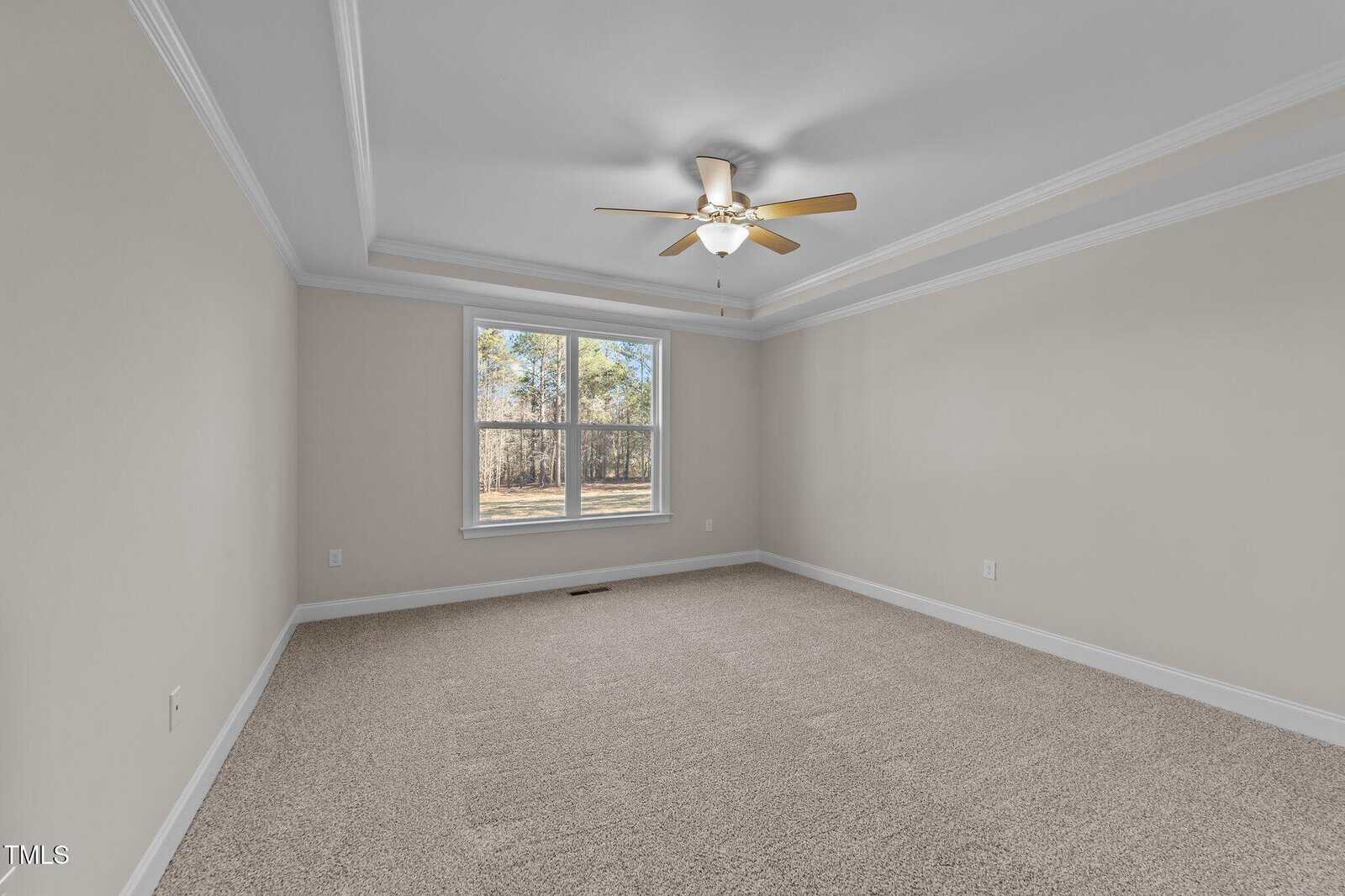 Empty room with beige carpet, light gray walls, white trim, and a tray ceiling. A ceiling fan with lights is centered above. A large window lets in natural light and shows trees outside. No furniture or decorations are visible.