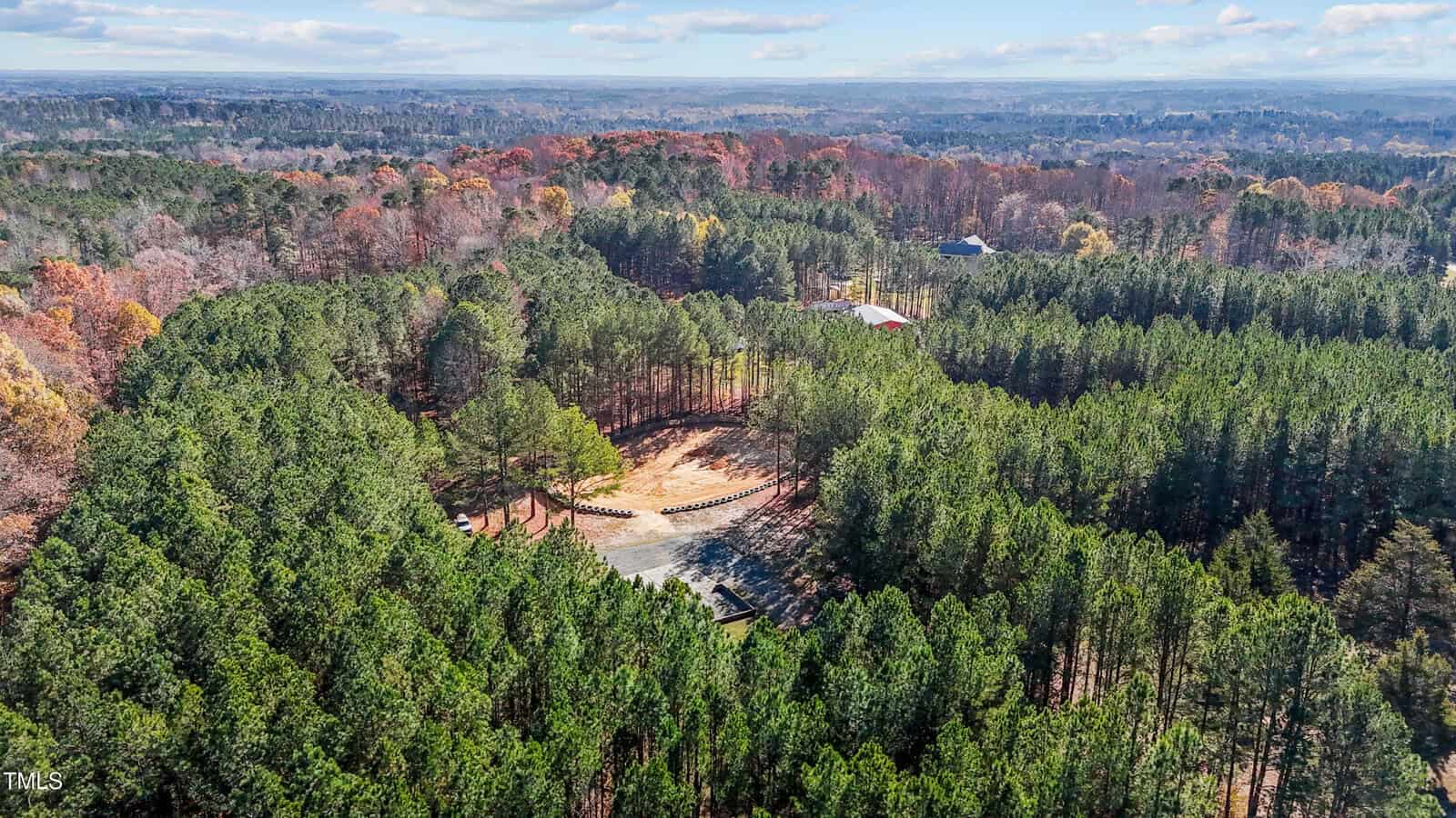 Aerial view of a forested area with dense green trees surrounding an open clearing. A pathway leads through the trees toward a red-roofed structure. The horizon shows a mix of trees and open land under a partly cloudy sky.