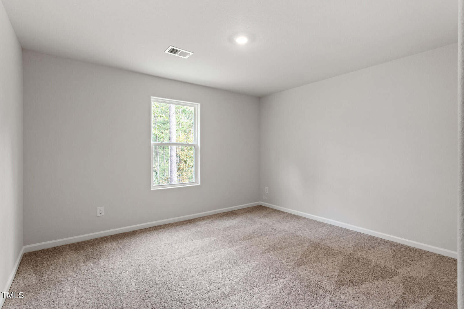 An empty room with beige carpet, white walls, and a single window. A ceiling light is turned on, illuminating the space. The window offers a view of some trees outside.