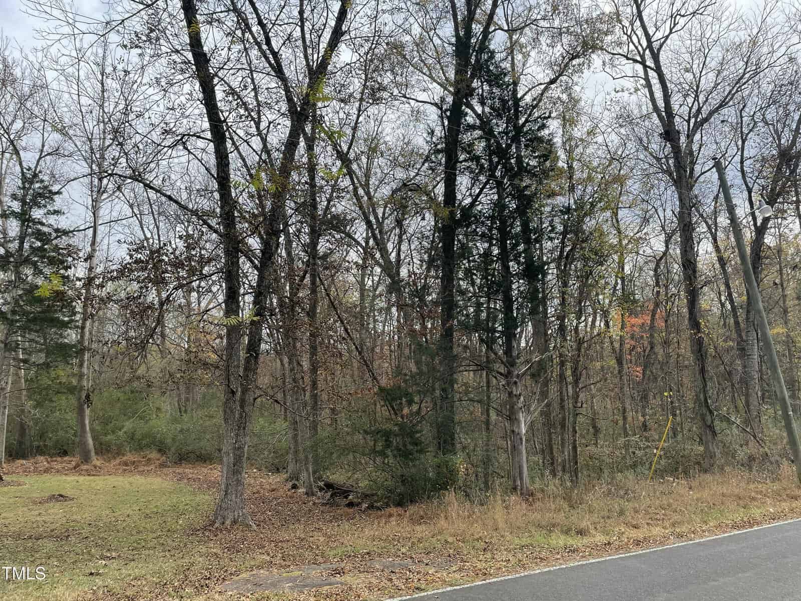A wooded area with tall, leafless trees in late autumn. A narrow road runs along the edge of the woods. Sparse grass and fallen leaves cover the ground. The sky is overcast, creating a muted atmosphere.