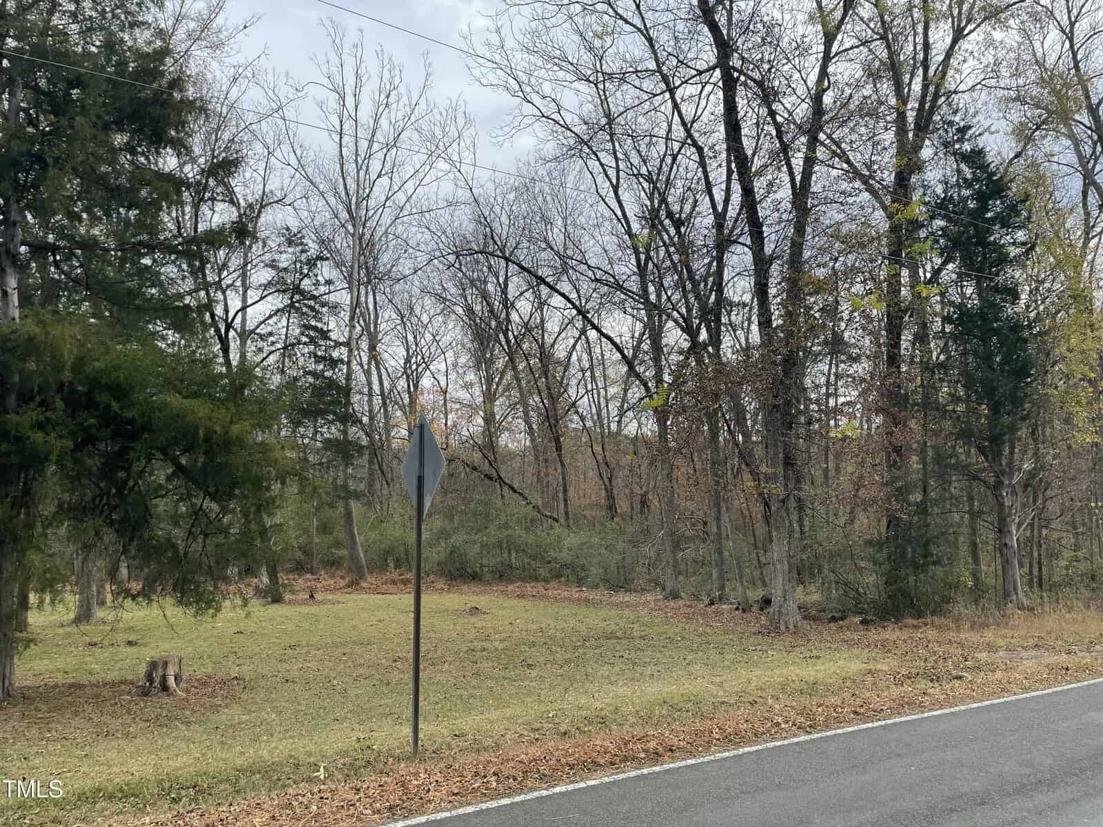 A rural roadside scene with a grassy area and several trees with sparse leaves. A triangular road sign is visible near the edge of the road. The sky is overcast, and a forested area extends into the background.