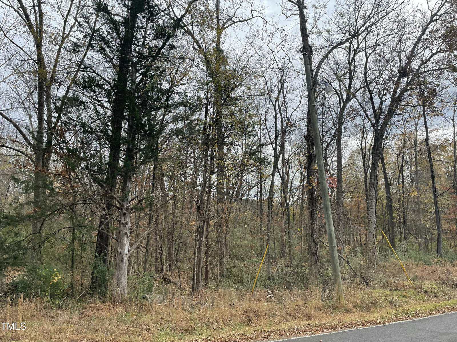 A roadside view of a forested area near 311 Oxford Street reveals a mix of deciduous and evergreen trees. The sparse foliage hints at late autumn, while an electric pole stands vigil beside the road. An overcast sky adds to the Stovall-like tranquility.