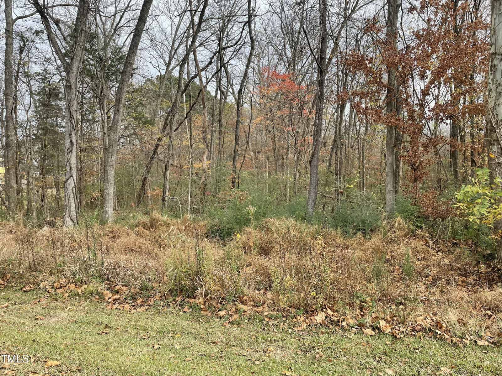 A late autumn forest scene with mostly bare trees. Some leaves remain, displaying shades of orange, red, and brown. The ground is covered with fallen leaves and dry grass, and the sky is overcast.