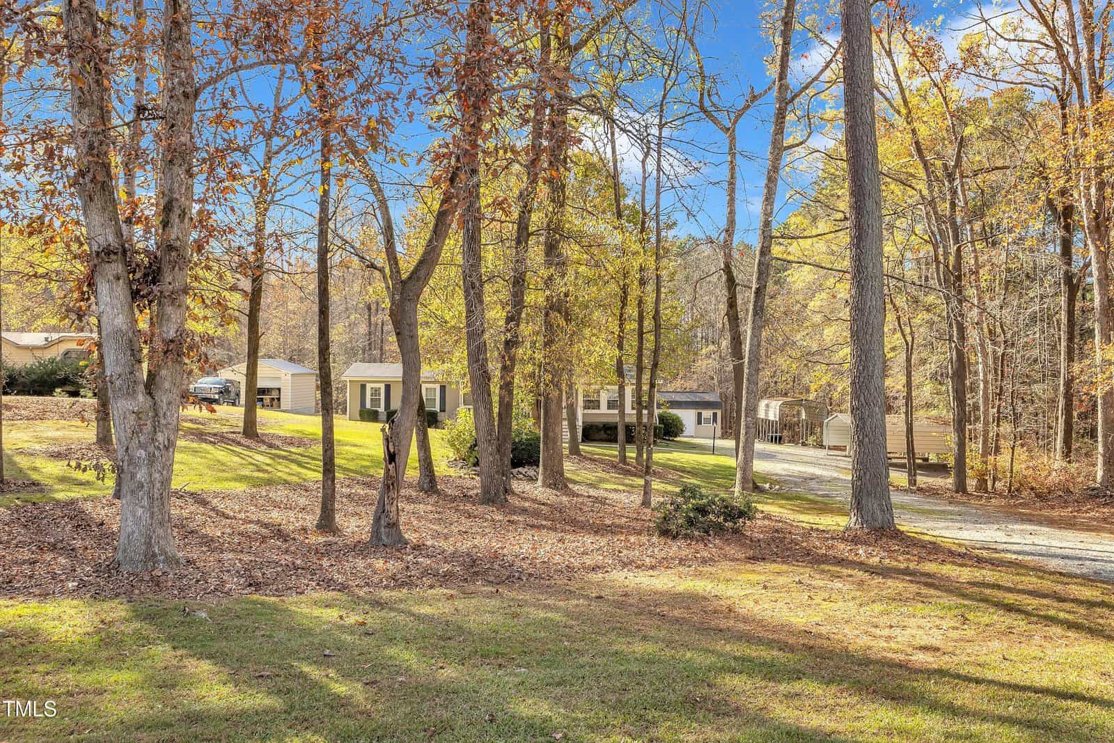 A wooded area in autumn with tall trees covered in brown leaves. In the background, there is a row of small houses with white exteriors. The ground is covered in fallen leaves, and a dirt path leads toward the houses. The sky is clear and blue.