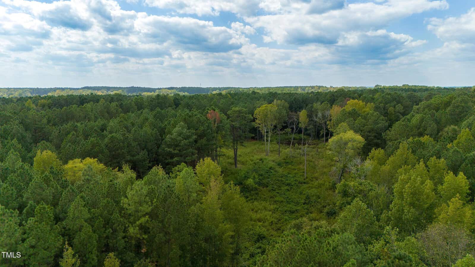 Aerial view of a dense green forest under a partly cloudy sky. The trees vary in shades of green, indicating different types of vegetation. A small clearing is visible in the center of the forest. The horizon is lined with more wooded areas.