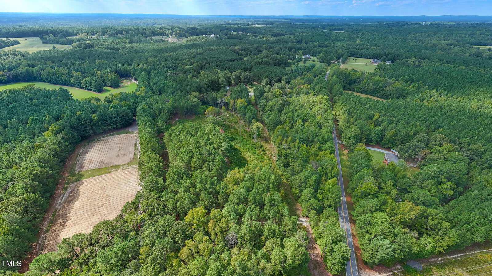 Aerial view of a vast, dense forest landscape with patches of cleared land. A road runs through the greenery, surrounded by trees. The horizon shows a clear blue sky with scattered clouds.