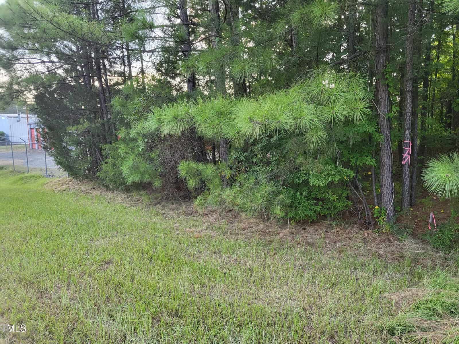 A grassy area bordered by a small grove of pine trees. Red surveyor's tape is tied to a few branches, indicating some form of land marking. A chain-link fence can be seen on the left, with a building in the background.