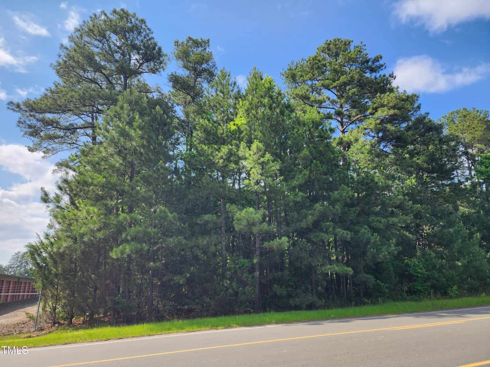 A patch of green pine trees stands beside a road under a partly cloudy blue sky. The roadway is asphalt, bordered by a narrow strip of grass. In the background, part of a red brick structure is visible.