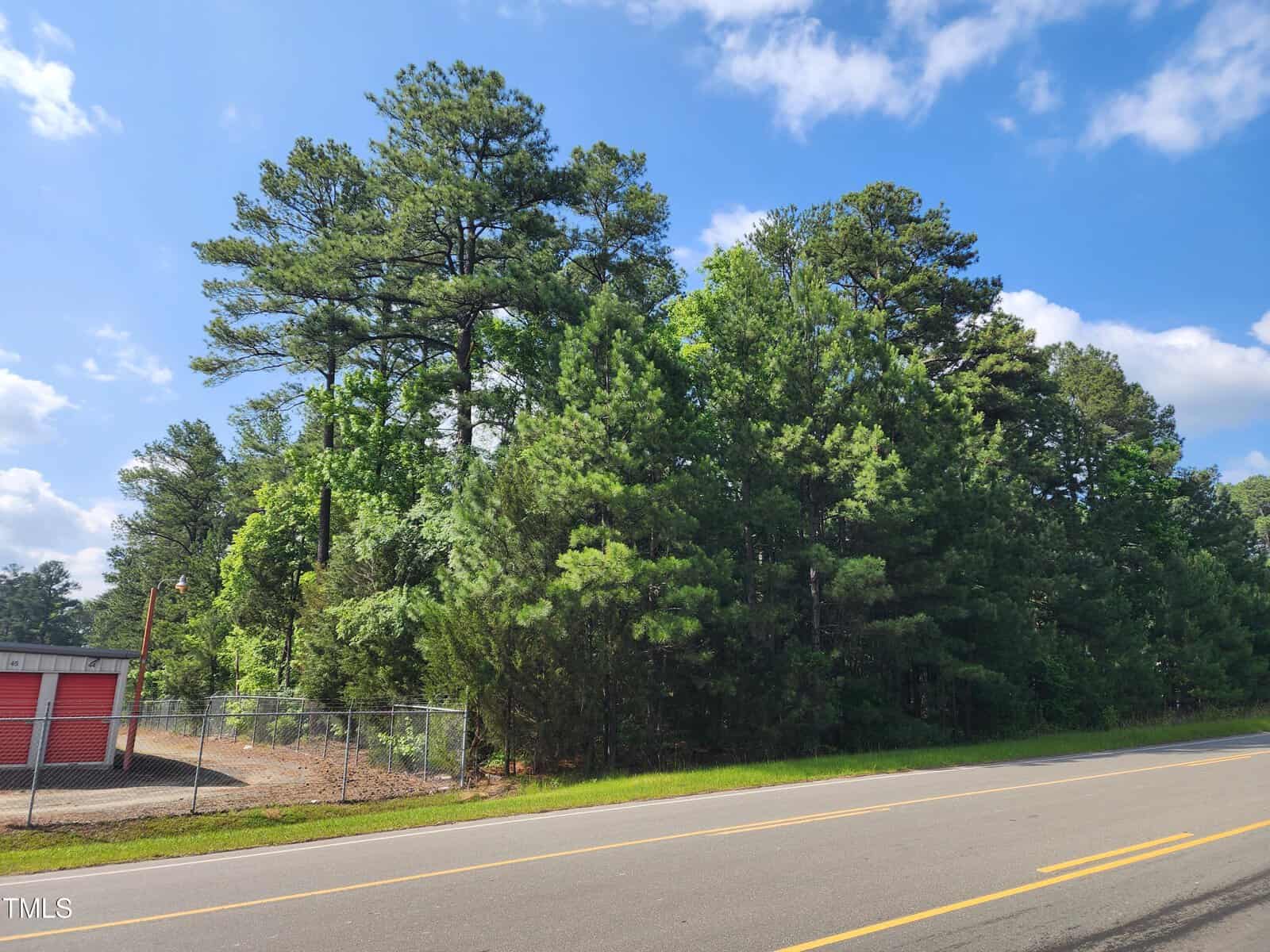 A roadside view of a dense cluster of tall green pine trees under a blue sky with scattered clouds. A red-roofed building with a chain-link fence is partially visible on the left side of the image. A two-lane road runs along the trees.