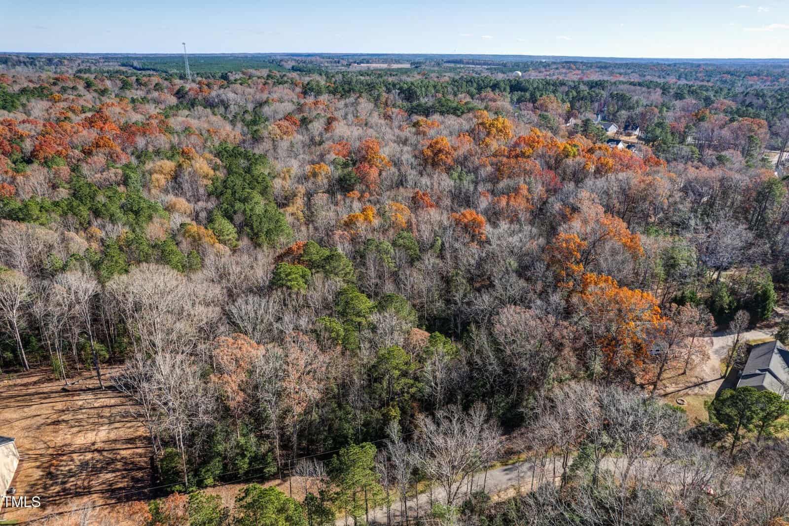 Aerial view of a forested area with autumn foliage, showing a mix of green, orange, and bare trees. A few houses are visible at the edge of the forest, with a distant horizon under a clear sky.