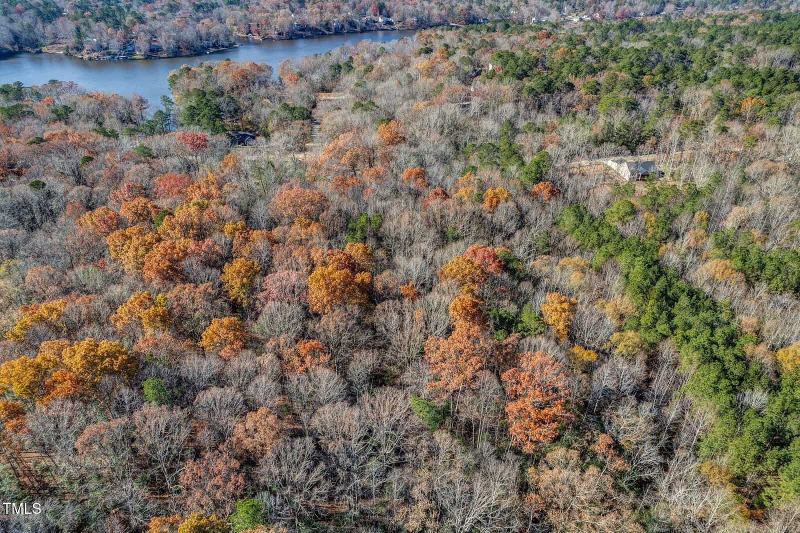 Aerial view of a forest with trees in autumn colors, featuring a mix of orange, red, yellow, and green foliage. A lake is visible in the upper part of the image, and a few houses are partially seen among the trees.