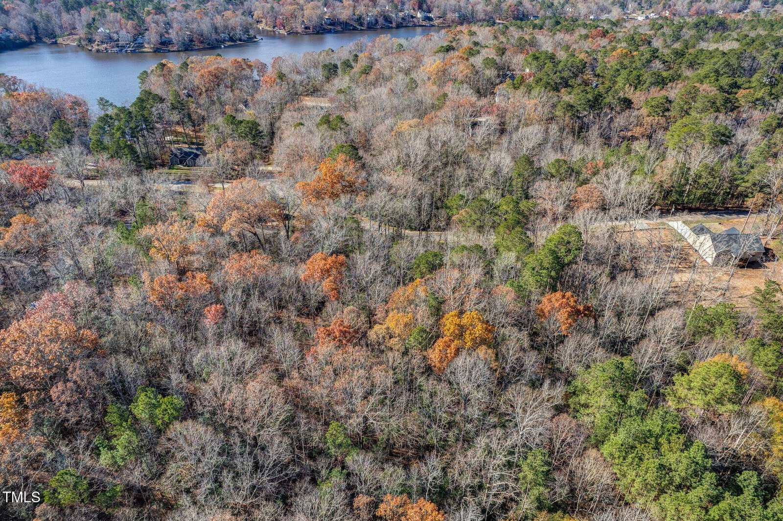 Aerial view of a wooded area with trees in autumn colors, a lake in the background, and a few scattered houses partially visible among the trees.