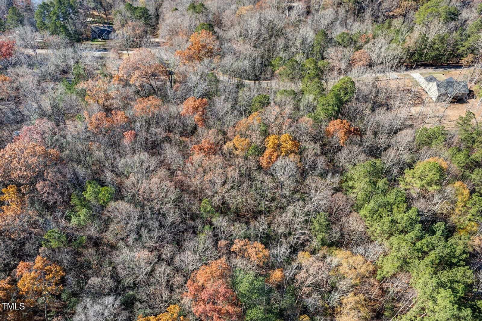 Aerial view of a wooded area with trees in autumn colors, some green, orange, and brown leaves. Houses and a road are partially visible at the edges of the forest.