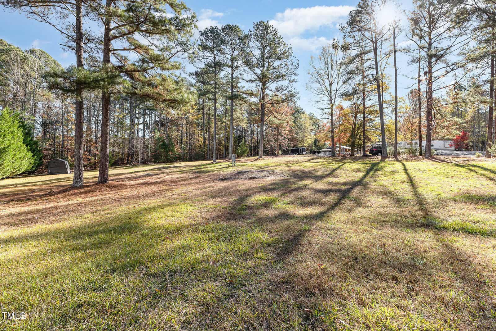 A large, grassy yard bordered by tall pine and deciduous trees, with sunlight streaming through the branches and casting long shadows on the ground. The sky is blue with scattered clouds.