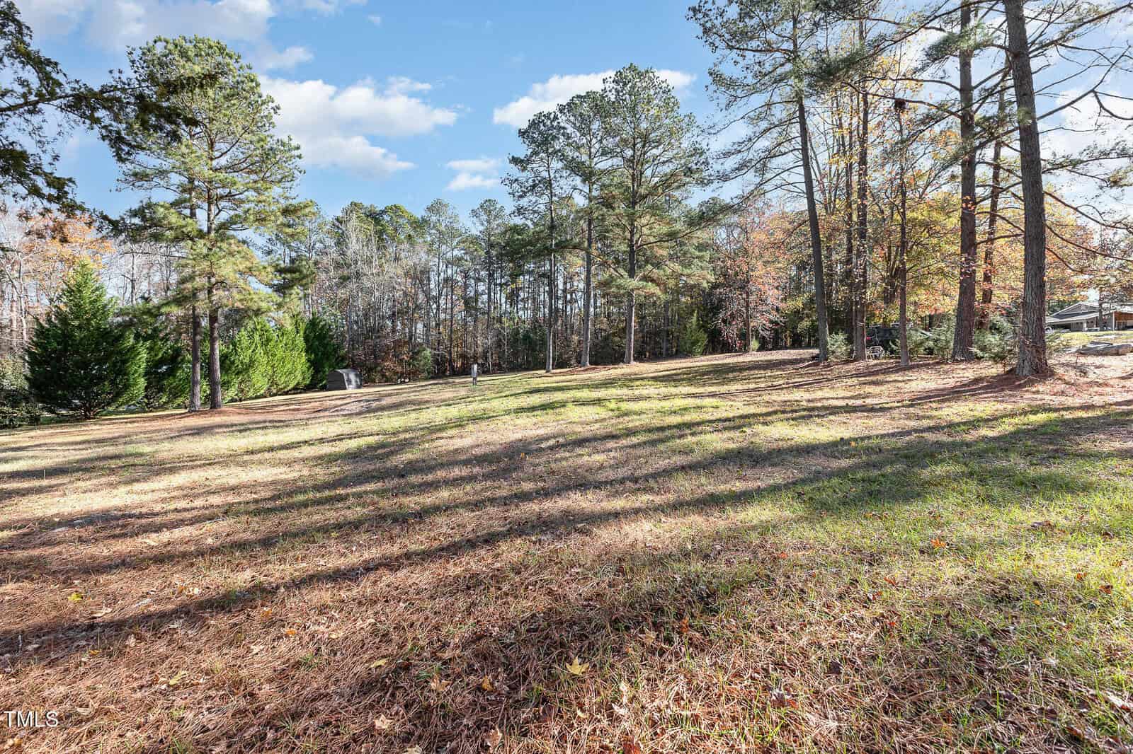 A gently sloping, grassy clearing with scattered pine trees and fallen pine needles, bordered by a dense forest under a blue sky with scattered clouds. Sunlight filters through the trees casting shadows on the ground.