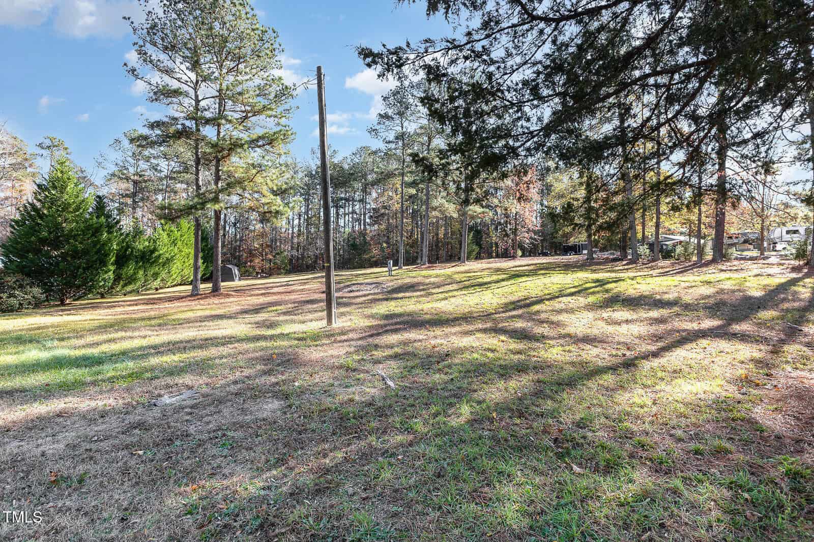 A grassy, slightly sloped clearing bordered by tall pine and hardwood trees under a blue sky. Shadows from the trees fall across the ground, and a utility pole stands in the center of the clearing.