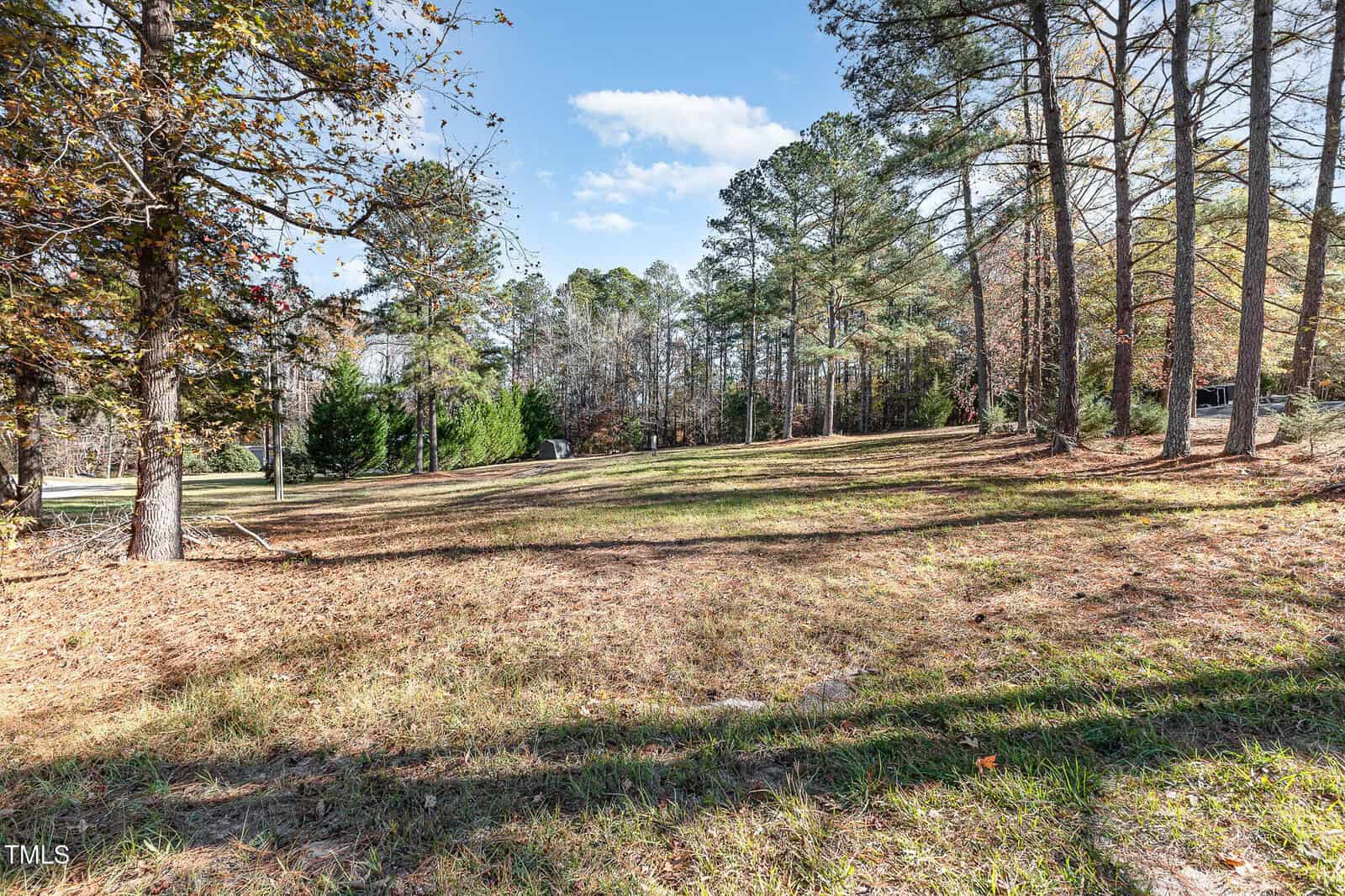 A grassy, slightly sloped clearing bordered by tall pine and deciduous trees under a blue sky with scattered clouds. The area is partially shaded by the trees, and fallen leaves cover parts of the ground.