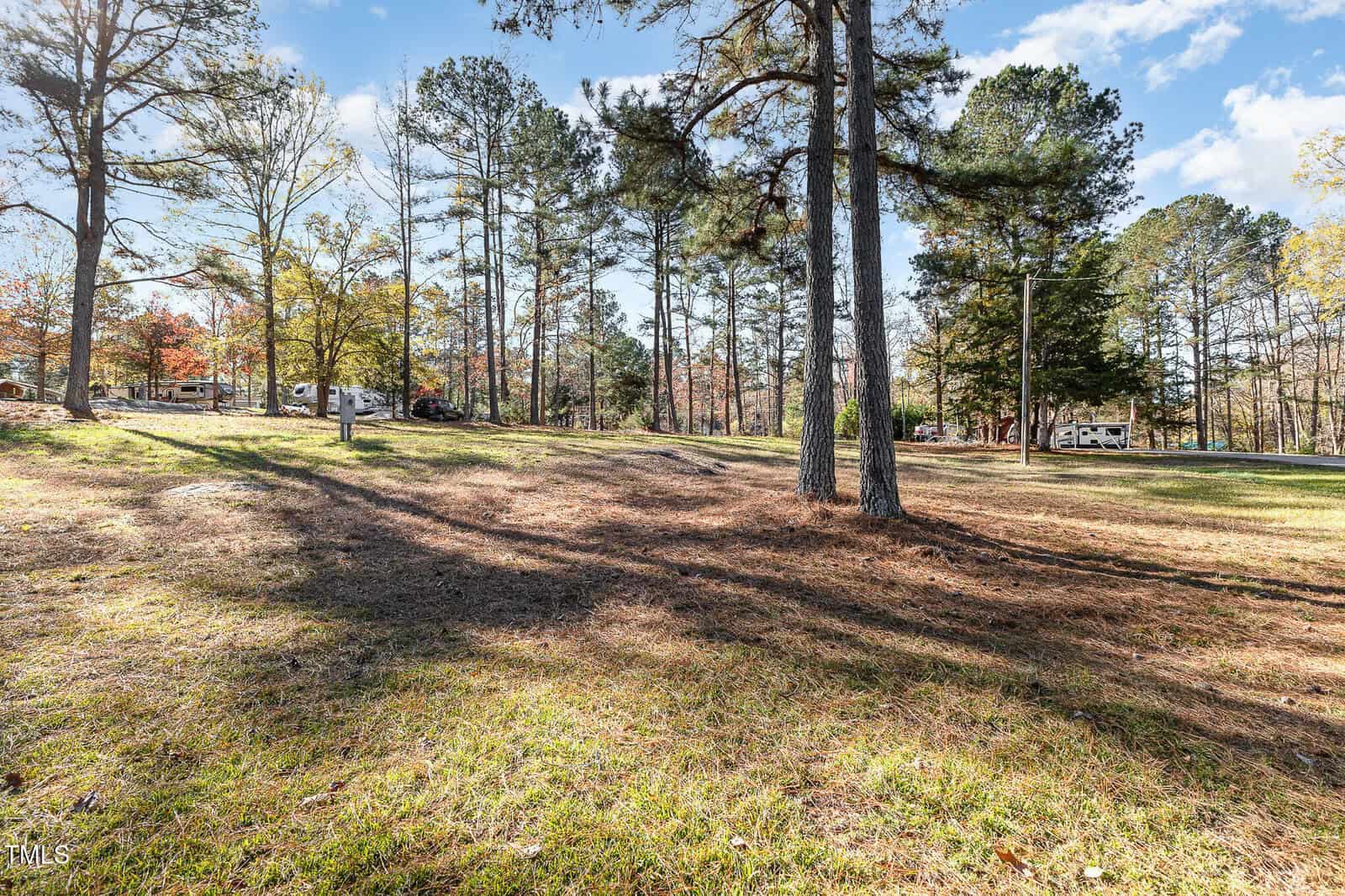 A grassy, gently sloping clearing with scattered pine trees under a blue sky with clouds. In the background, there are parked vehicles and a white RV near more trees.