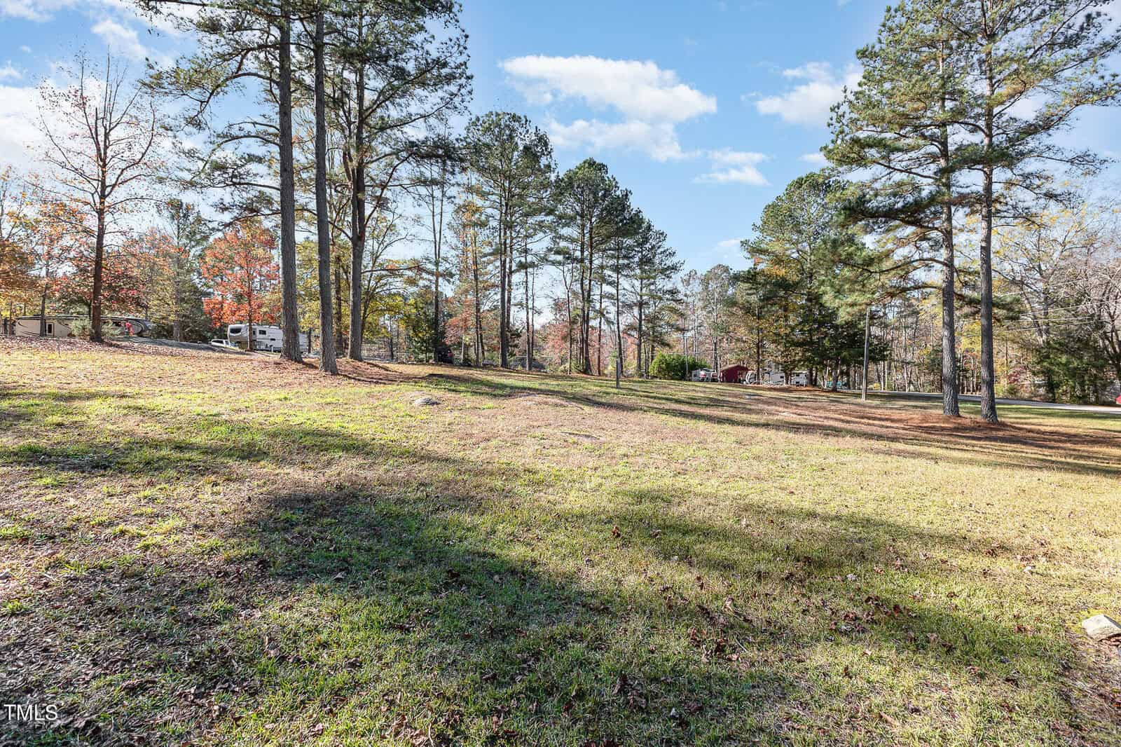 A grassy, open field with tall pine trees scattered throughout, under a blue sky with some clouds. A white RV is visible on the left side among the trees.